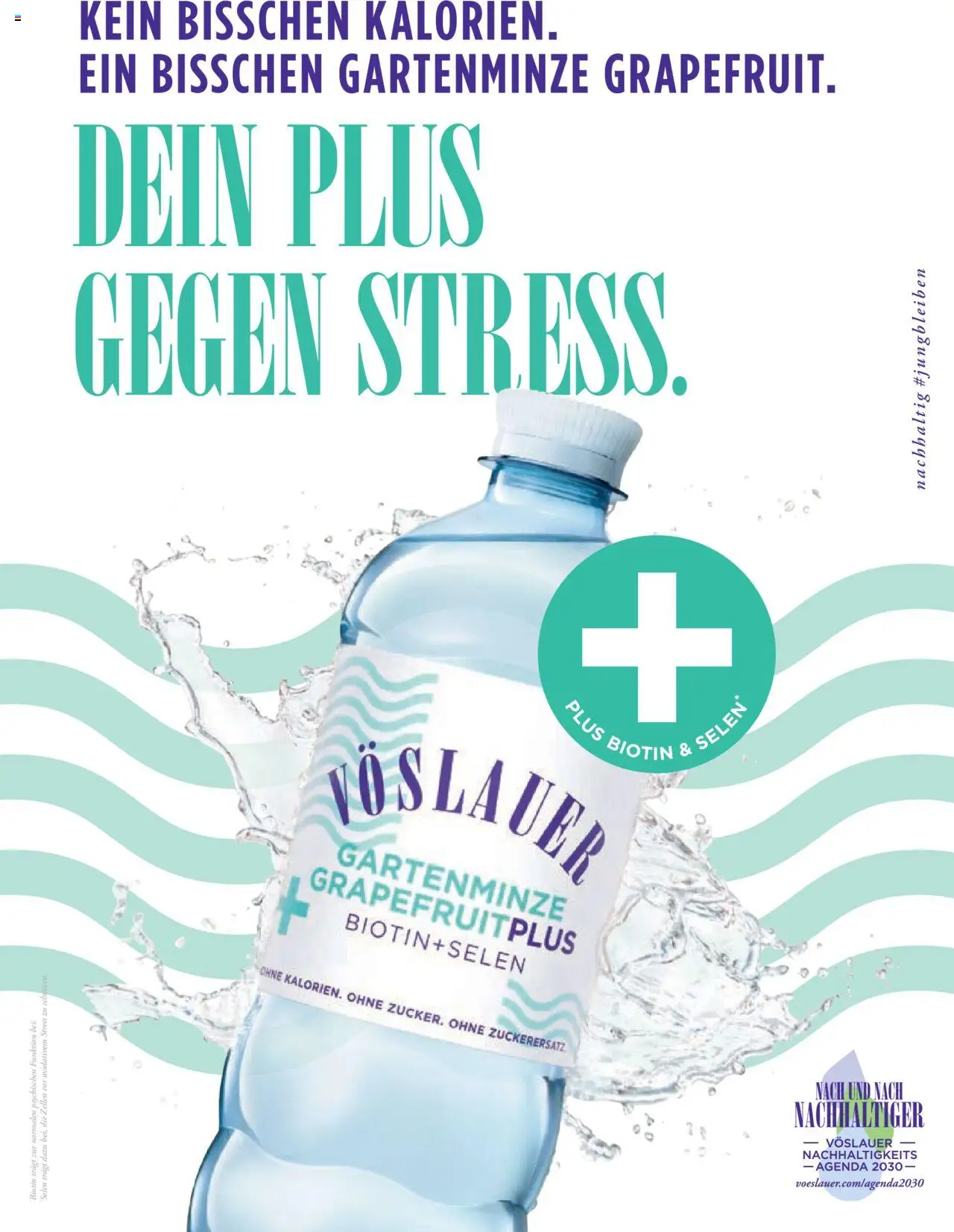 Billa Frisch Gekocht gültig ab 01.09.2025 | Seite: 136