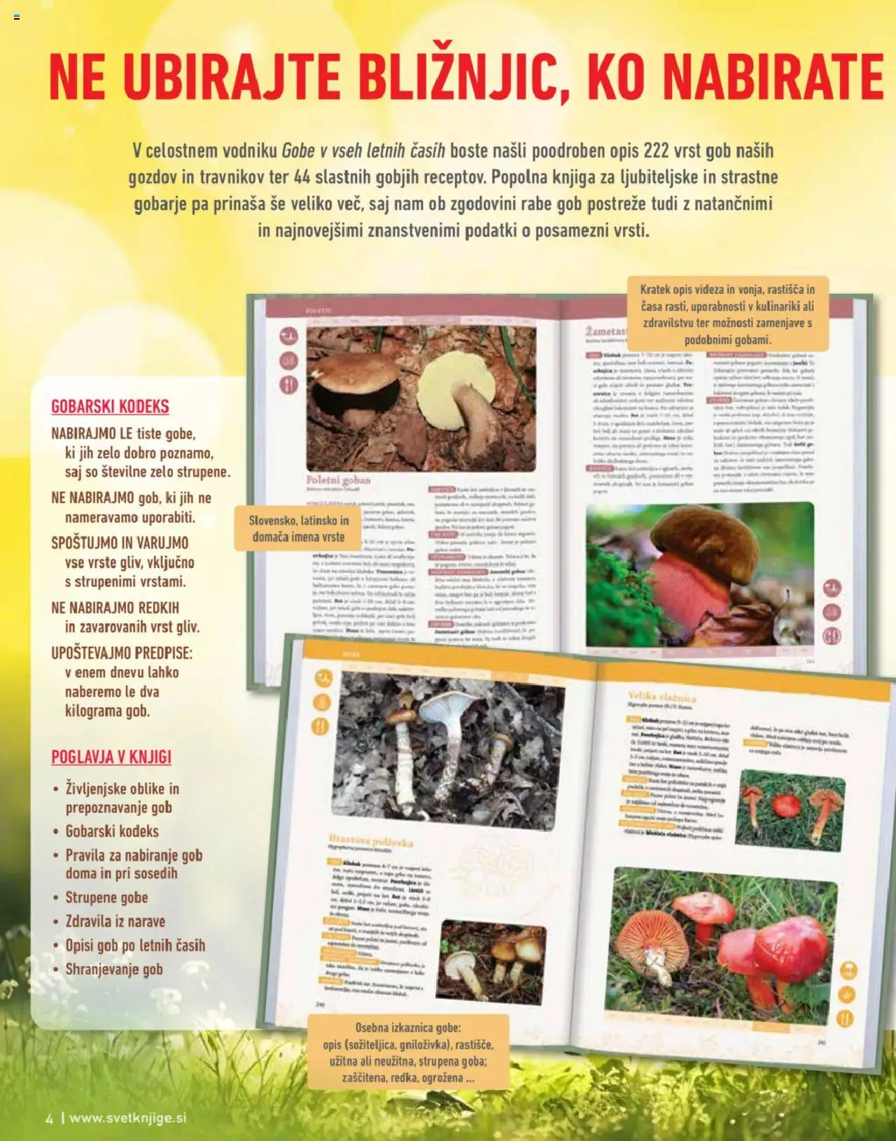 Svet knjige katalog │ velja od 01.07.2025 | Stran: 4 | Izdelki: Knjiga