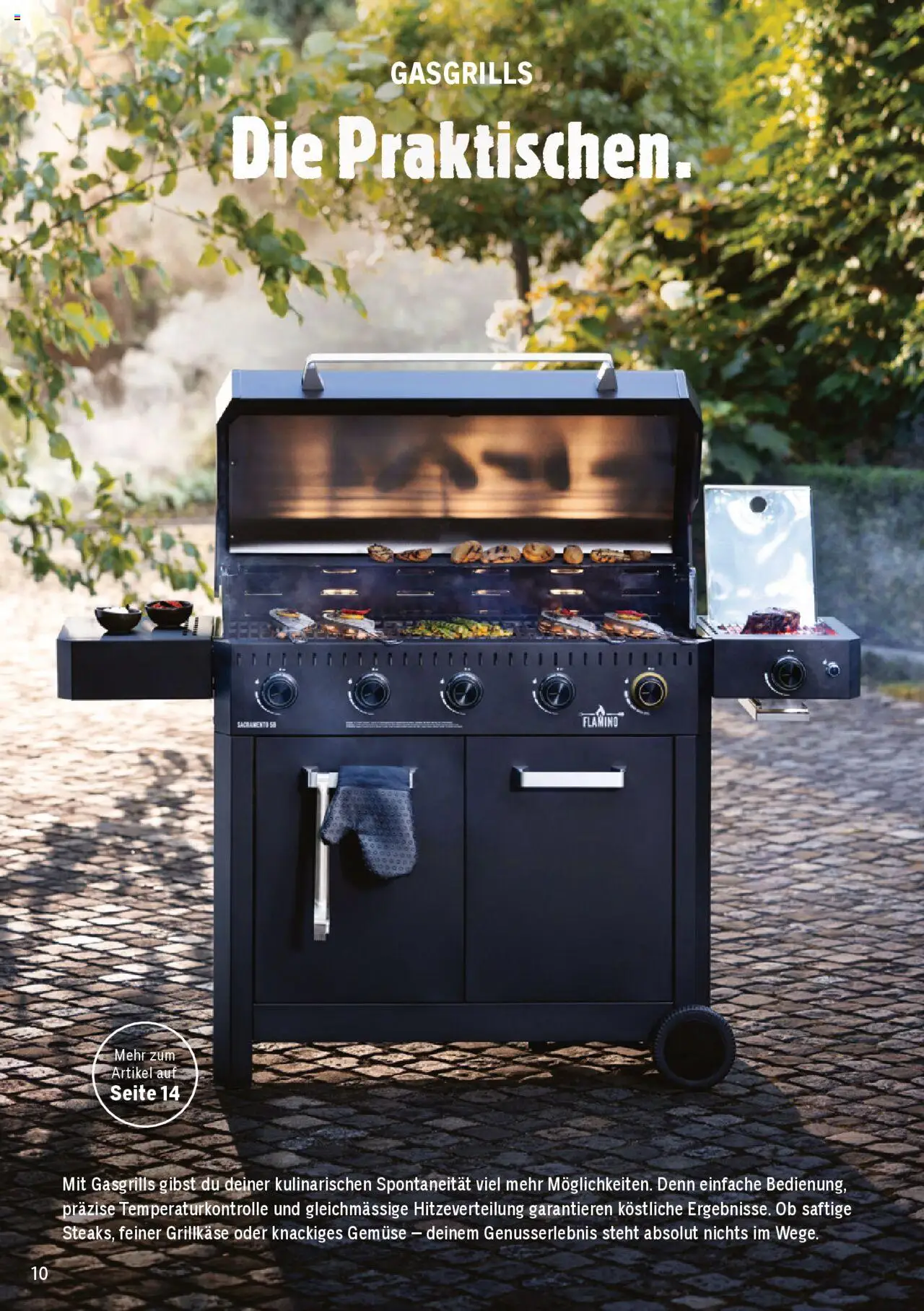 Jumbo Aktionen Grosse Grillbroschüre 2025 ab 21.02.2025 | Seite: 10 | Produkte: Gemüse