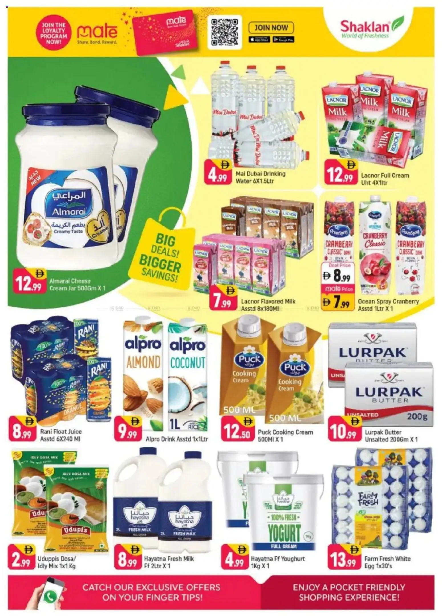 {H1} | Page: 4 | Products: Vajcia