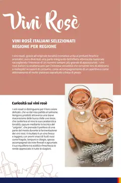 Anteprima del volantino Aldi Vinoteca catalogo valido a partire dal 12.01.2026 | Pagina: 46 | Prodotti: Lamponi, Vino, Aperitivo