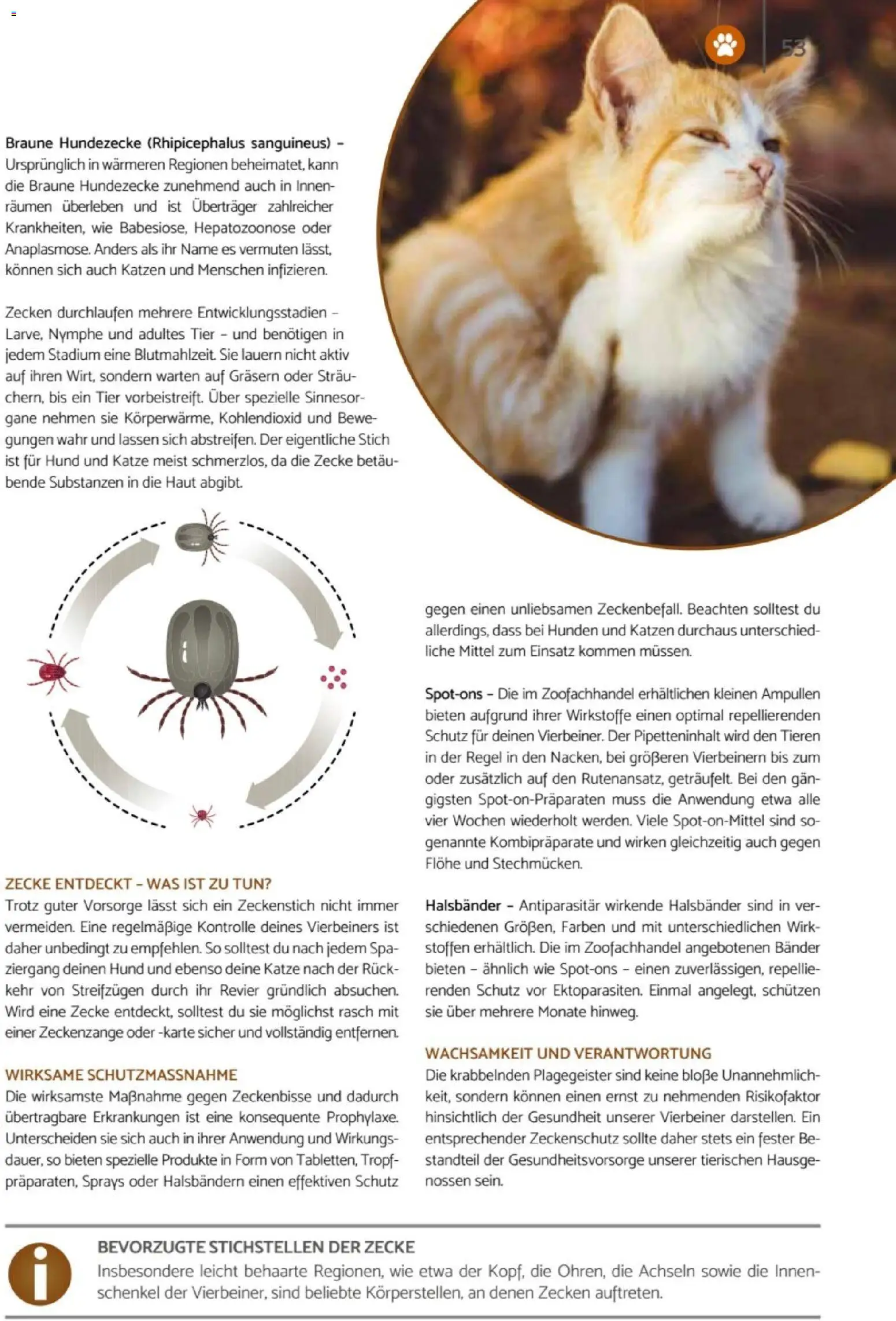 zookauf Heimtier Journal – gültig ab 01.04.2026 | Seite: 53