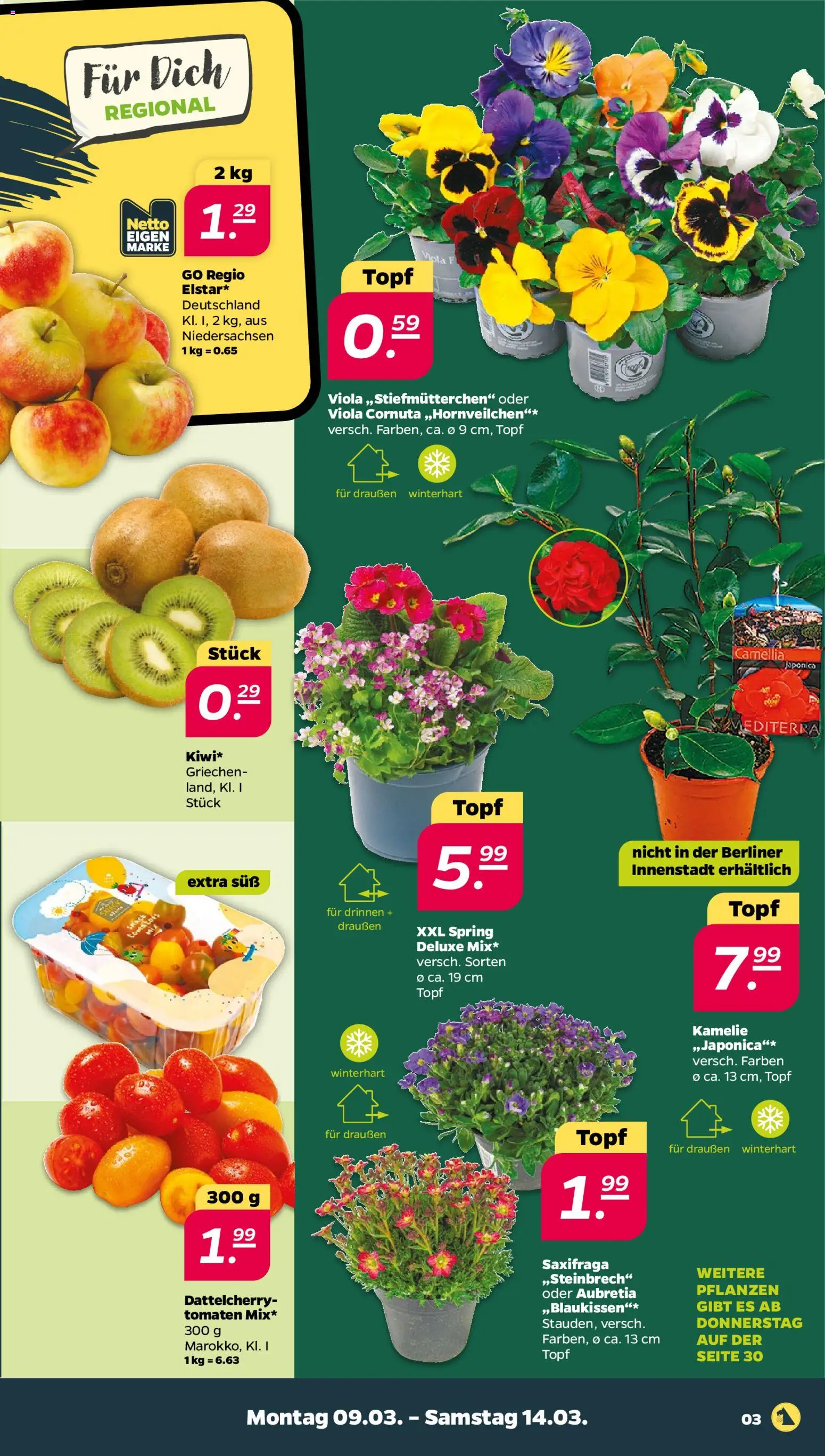 Netto Prospekt 	 – gültig ab 09.03.2026 | Seite: 3 | Produkte: Berliner, Tomaten