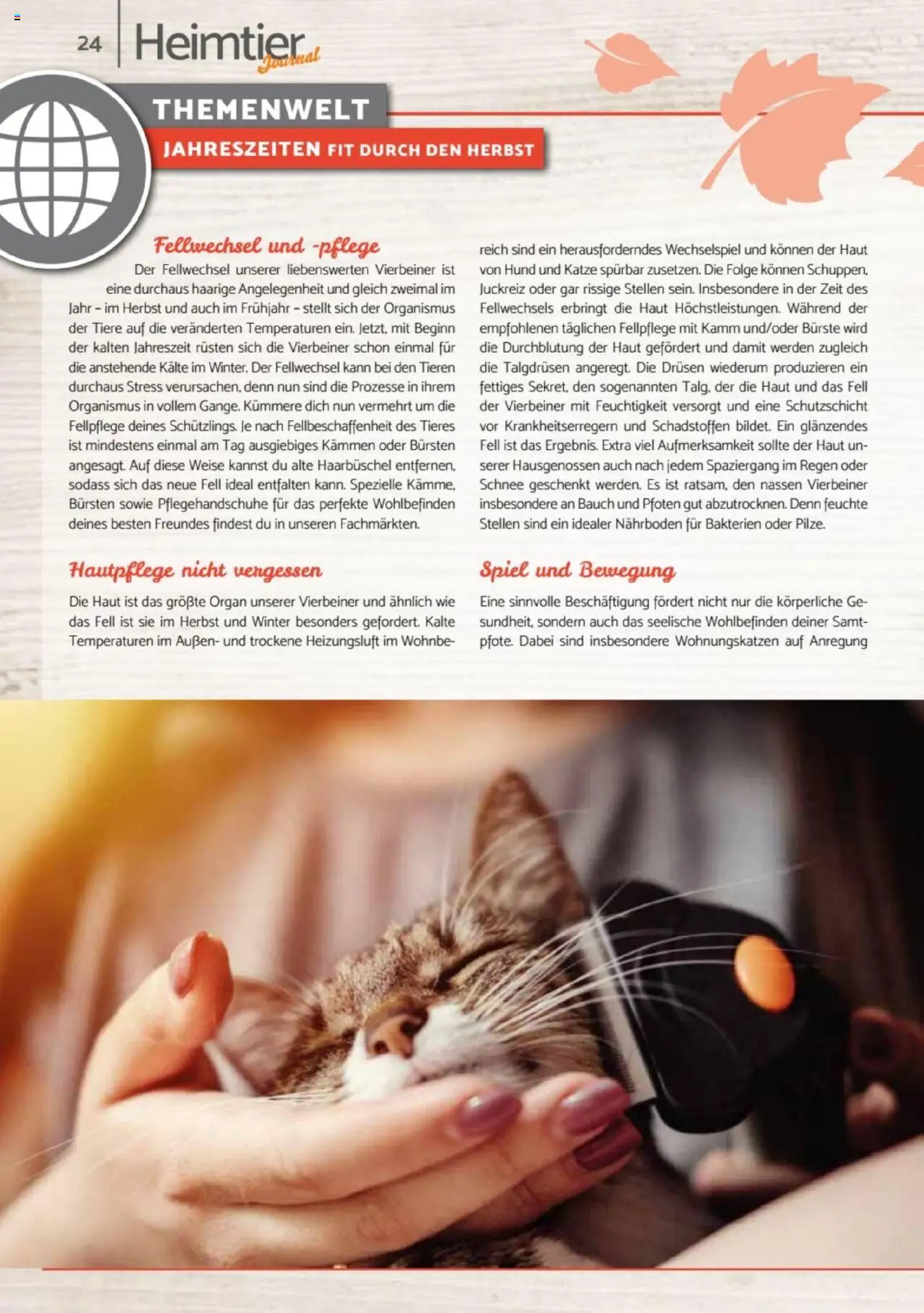 zookauf Heimtier Journal – gültig ab 01.10.2025 | Seite: 24 | Produkte: Spiel, Bürste