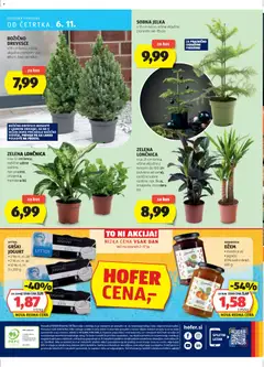 Hofer katalog akcije – veljaven od 30.10.2025 | Stran: 40
