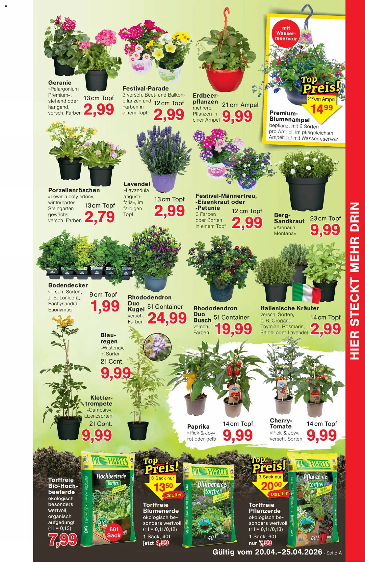 Jawoll Prospekt 	 – gültig ab 20.04.2026 | Seite: 7 | Produkte: Pflanzerde, Blumenerde, Paprika, Lavendel