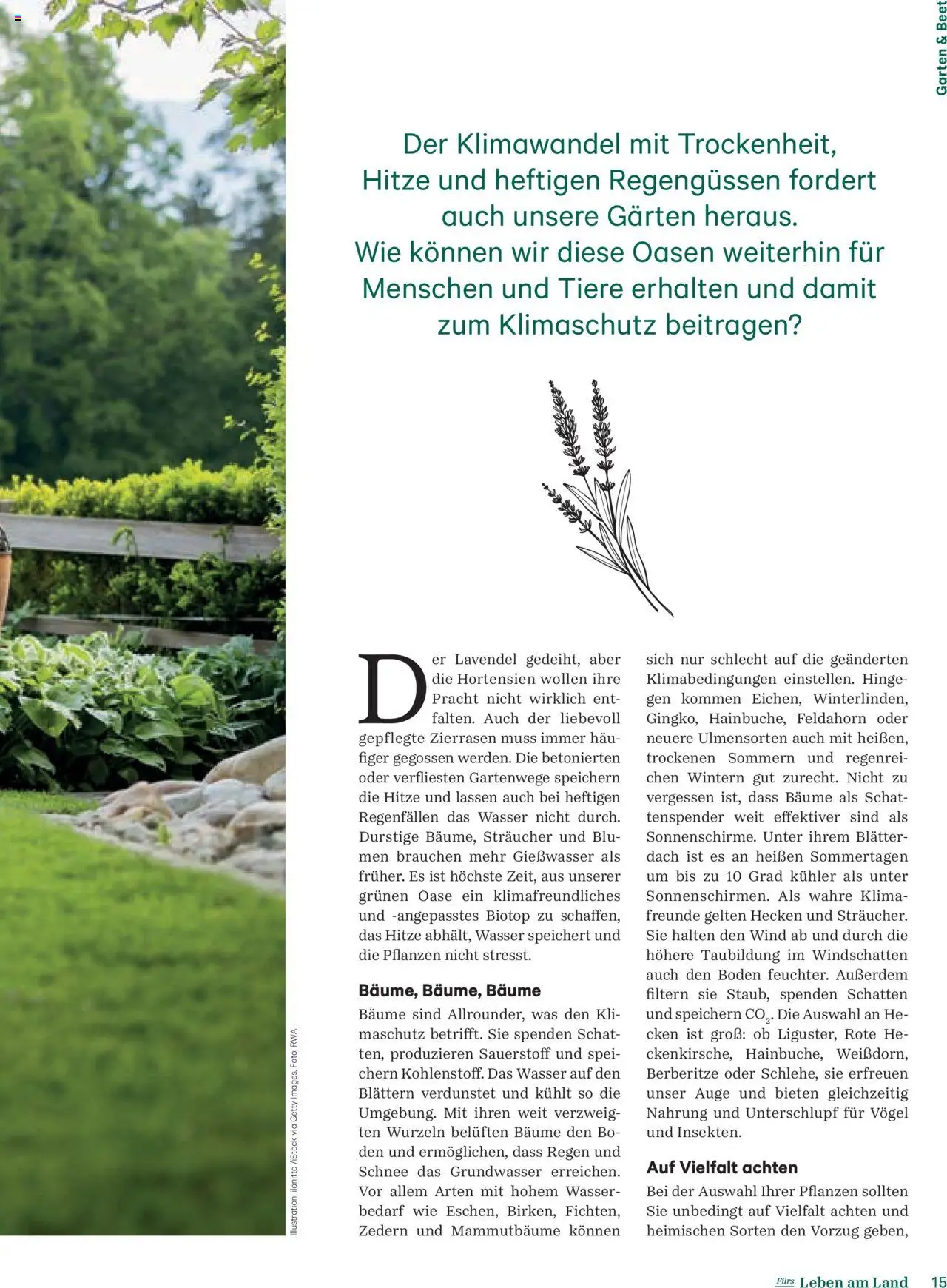 Lagerhaus Fürs Leben am Land Magazin gültig ab 28.04.2025 | Seite: 15 | Produkte: Wasser