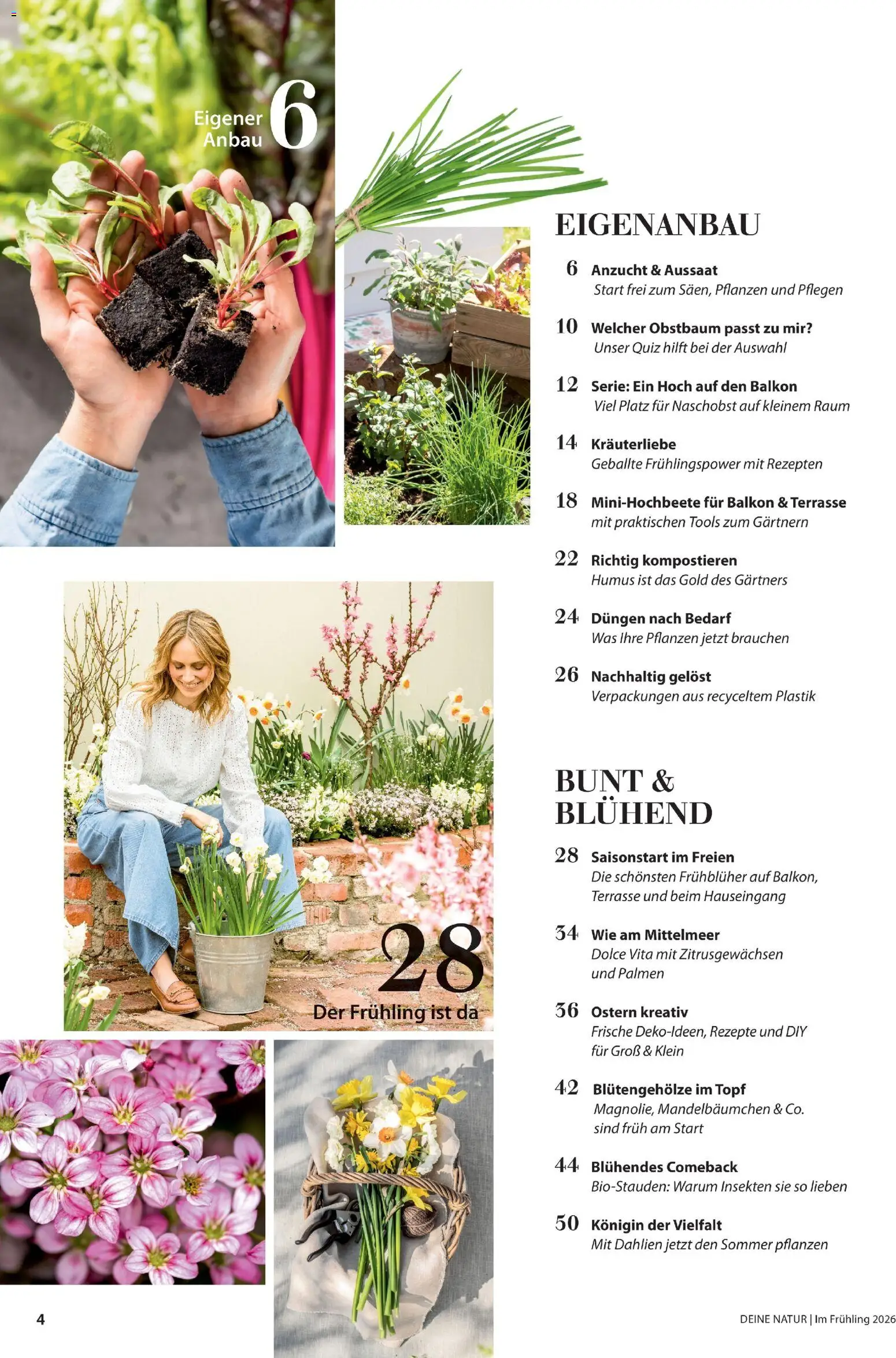 Dehner Flugblatt gültig ab 05.03.2026 | Seite: 4