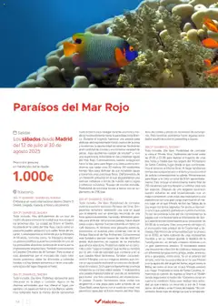 Vista previa Halcón Viajes Egipto válido desde el 01.07.2025 | Página: 54