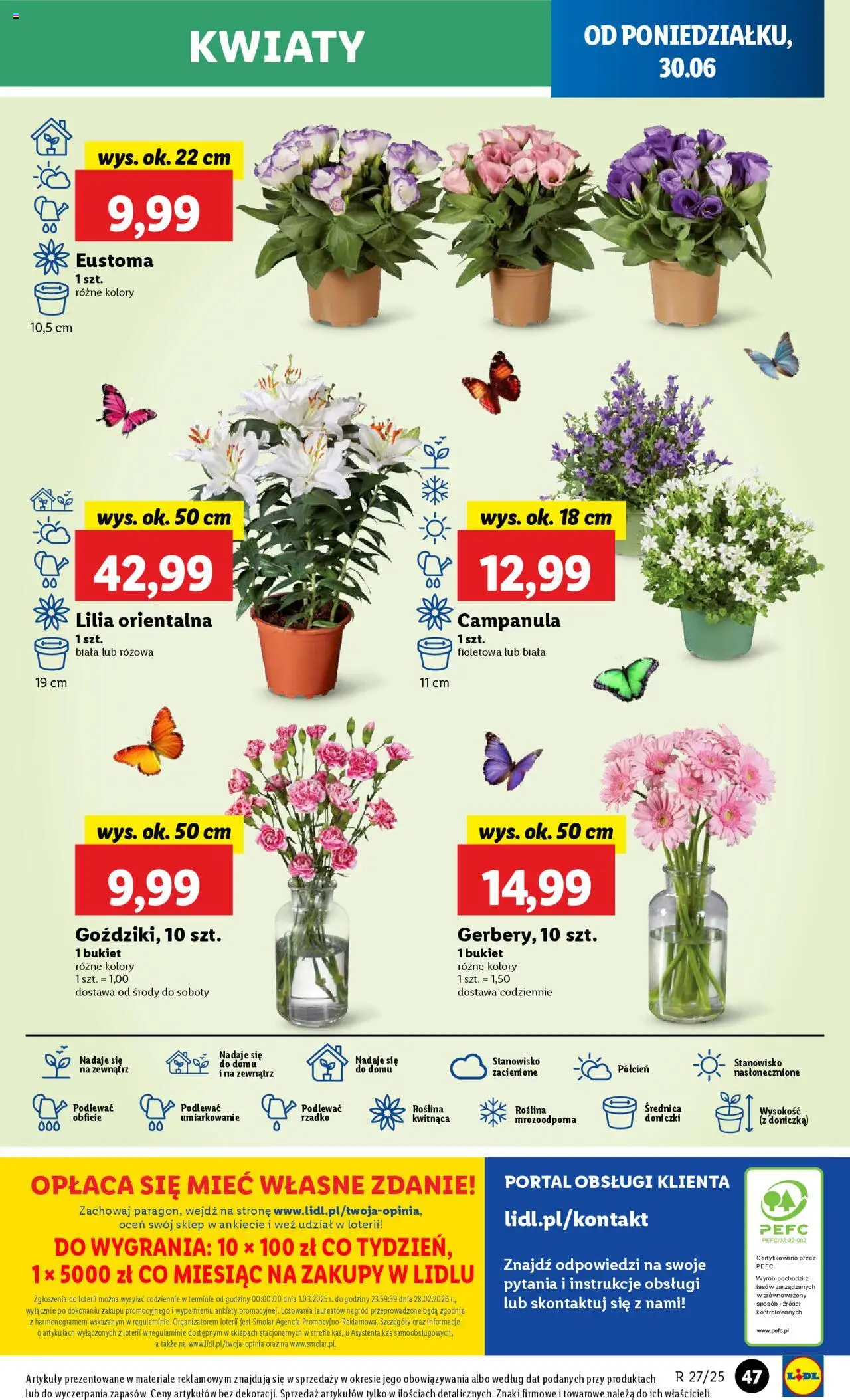 Lidl Gazetka od 30.06.2025 | Strona: 55 | Produkty: Doniczka, Doniczki, Kwiaty