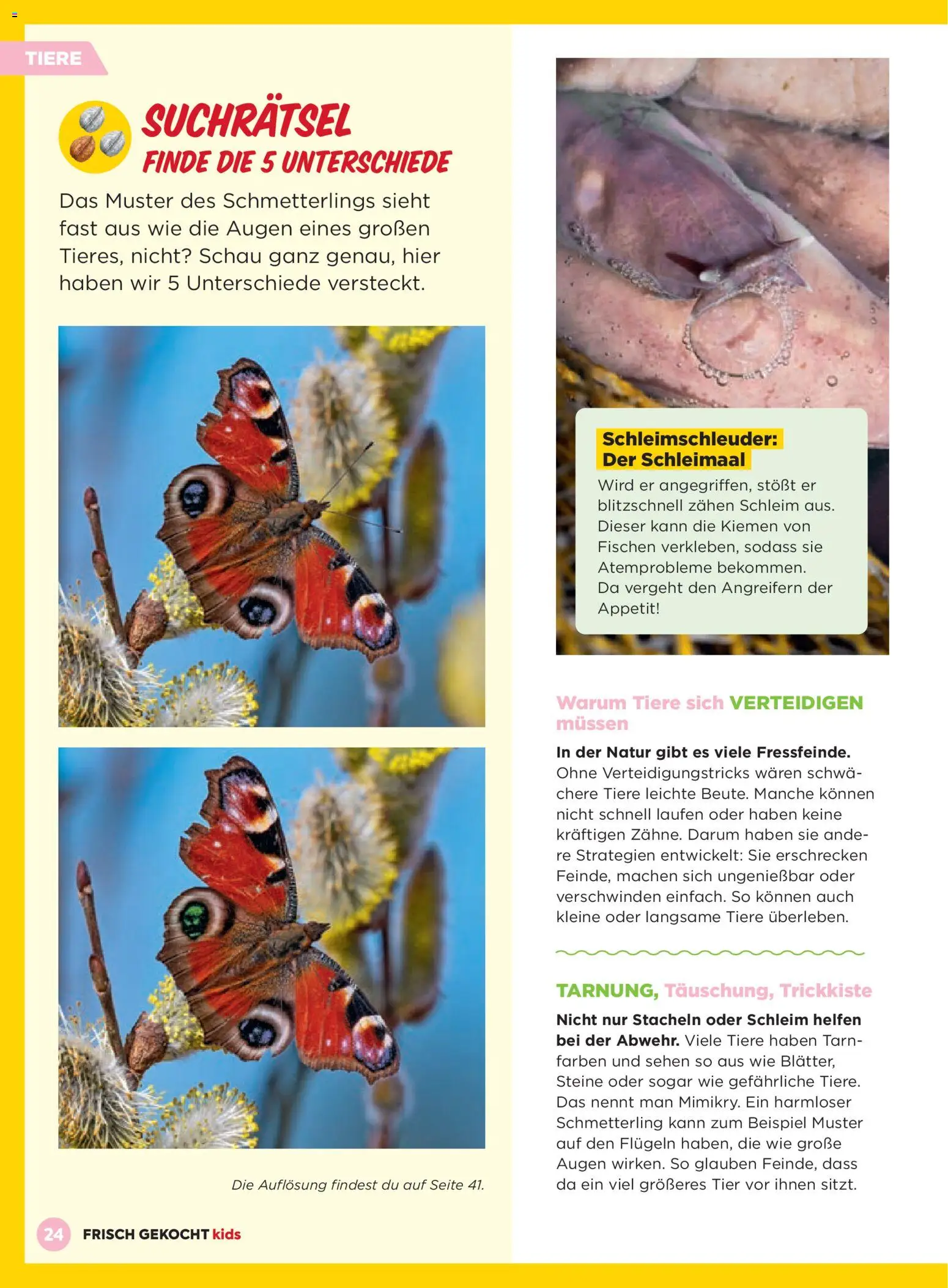 Billa AT akciós ujság - amely érvényes a következő dátumtól: 01.03.2026 | Oldal: 24 | Termékek: Só