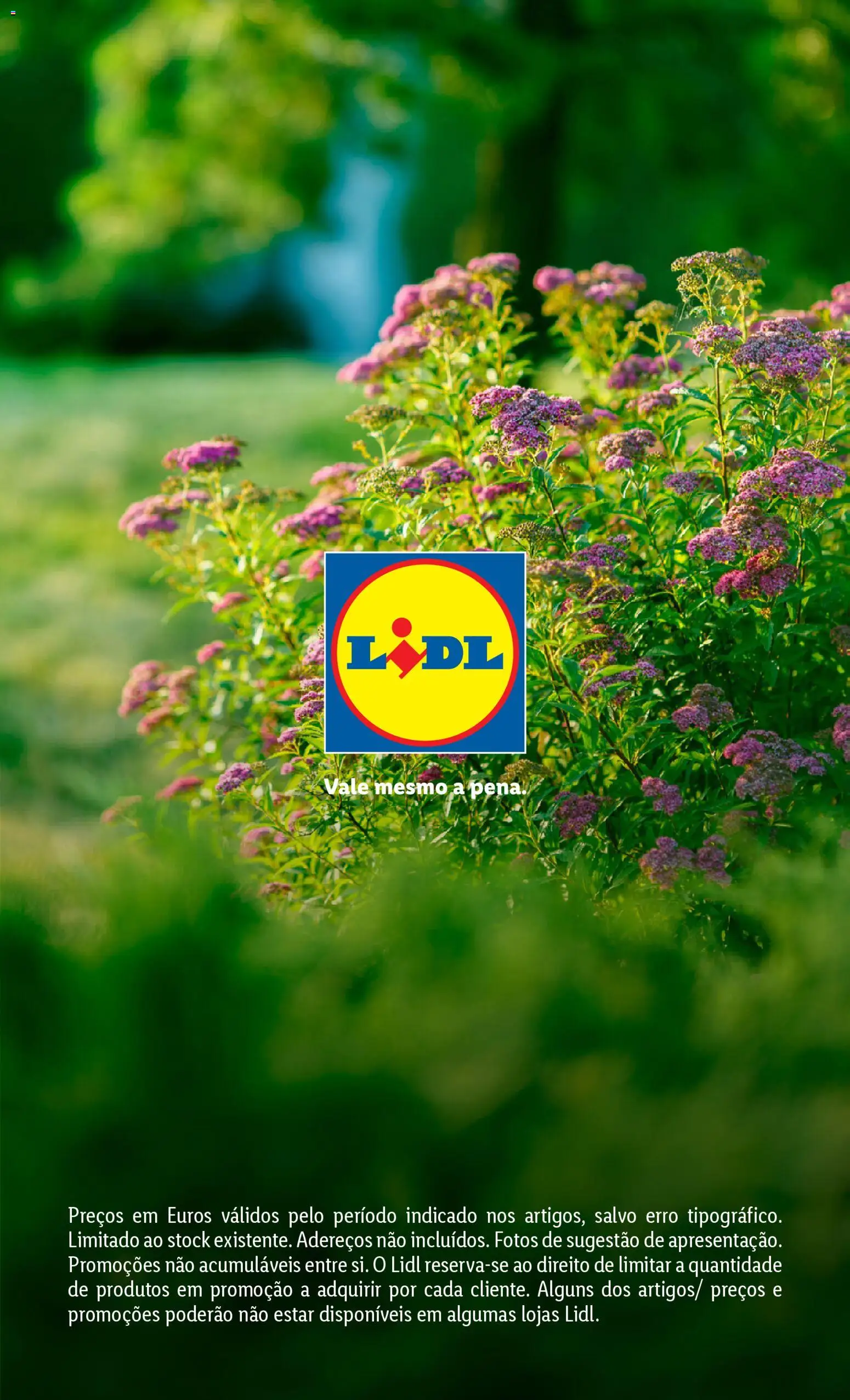 Lidl Jardim │ válido de 13.02.2026 | Página: 42