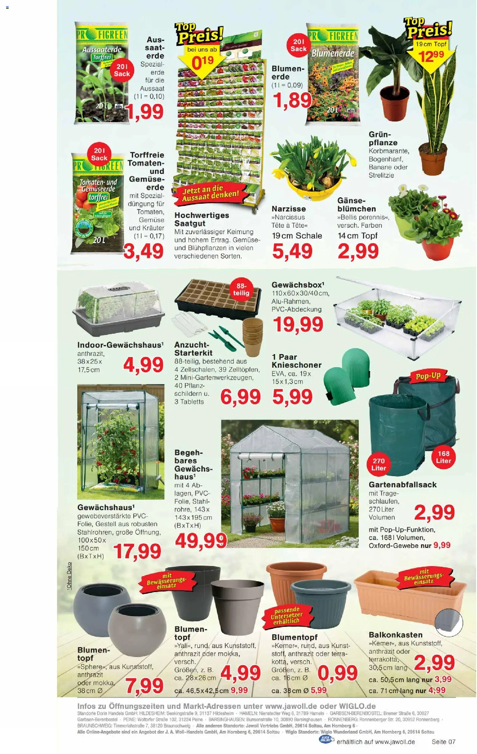 Wiglo Wunderland Prospekt 	 – gültig ab 02.03.2026 | Seite: 11 | Produkte: Blumen, Tomaten, Blumenerde, Gemüse