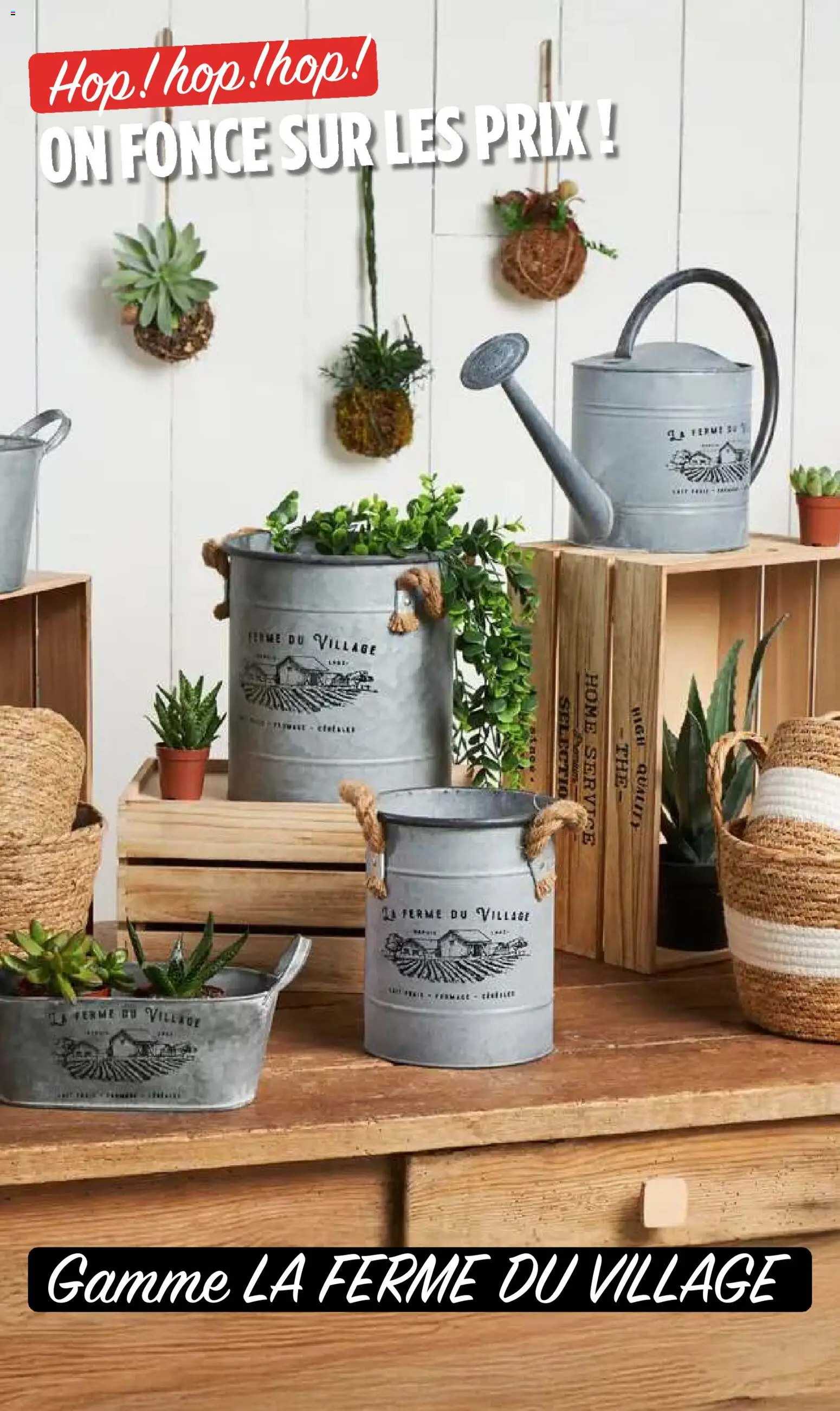 {H1} | Page: 23 | Produits: Thé