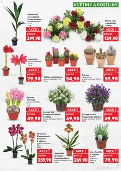 Náhled letáku Kaufland leták od 21.01.2026 | Strana: 11