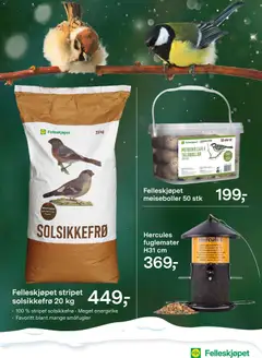 Forhåndsvisning av Felleskjøpet kundeavis gyldig fra 15.12.2025 | Side: 2 | Produkter: Mochetă