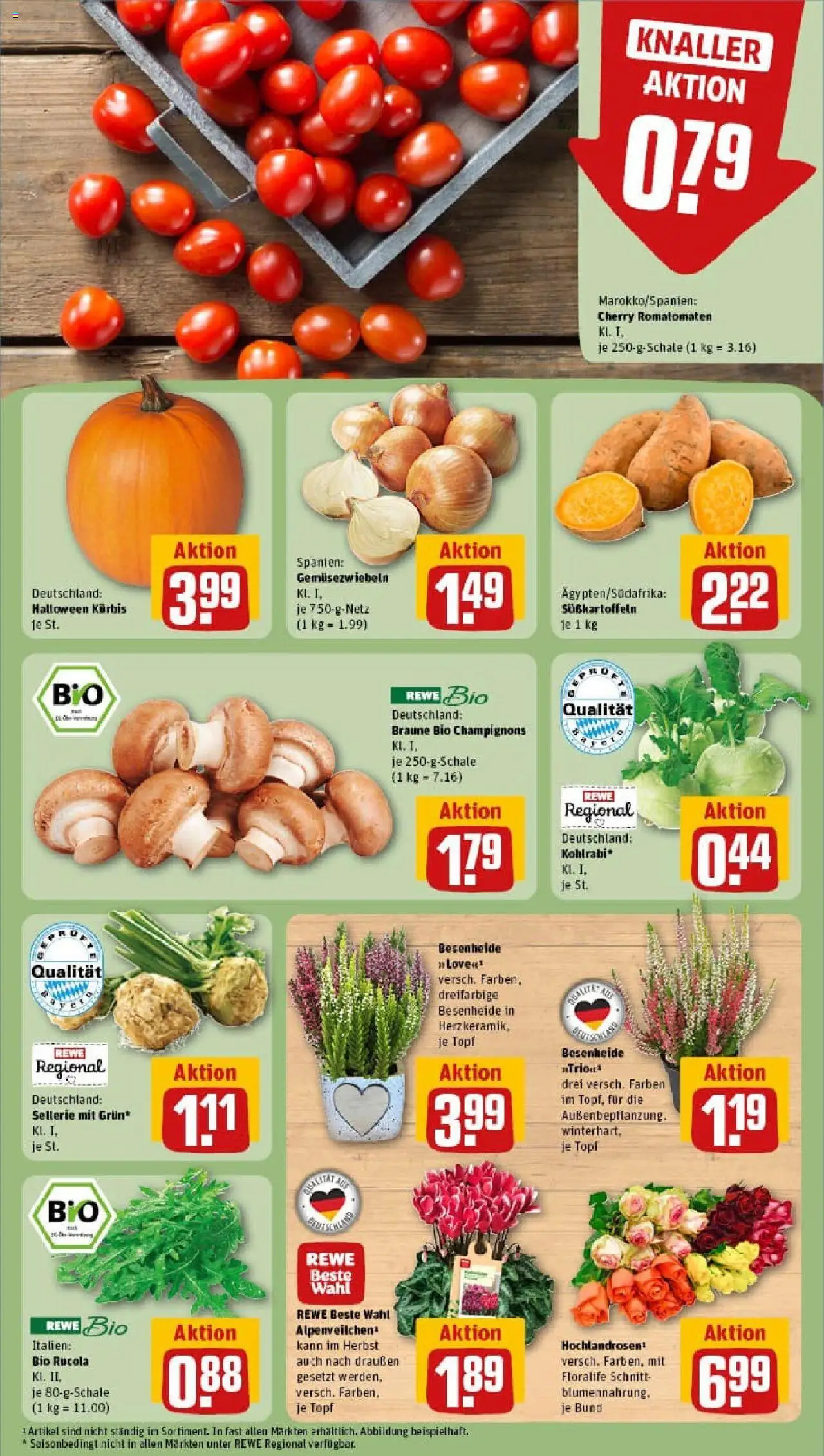 Rewe prospekt Pressath	 – gültig ab 13.10.2025 | Seite: 7 | Produkte: Rucola, Kohlrabi, Champignons, Kürbis