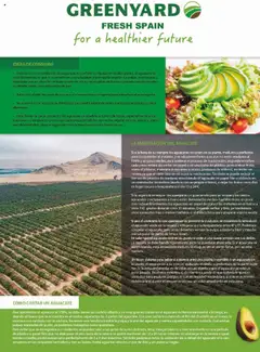 Vista previa Costco catálogo válido desde el 29.09.2025 | Página: 61 | Productos: Lima, Guacamole, Horno, Συσκευή ροής