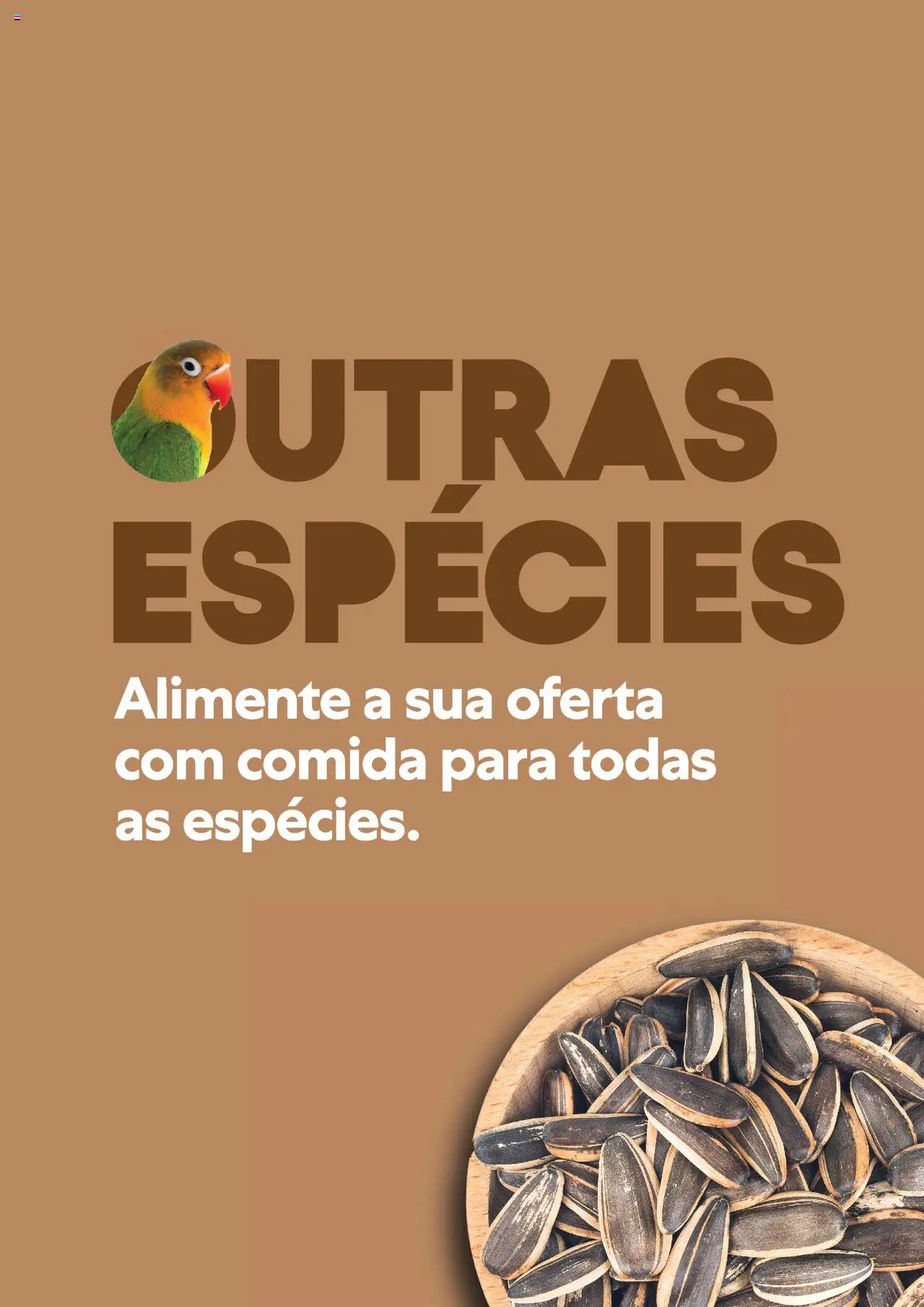 Recheio folheto │ válido de 10.11.2023 | Página: 19