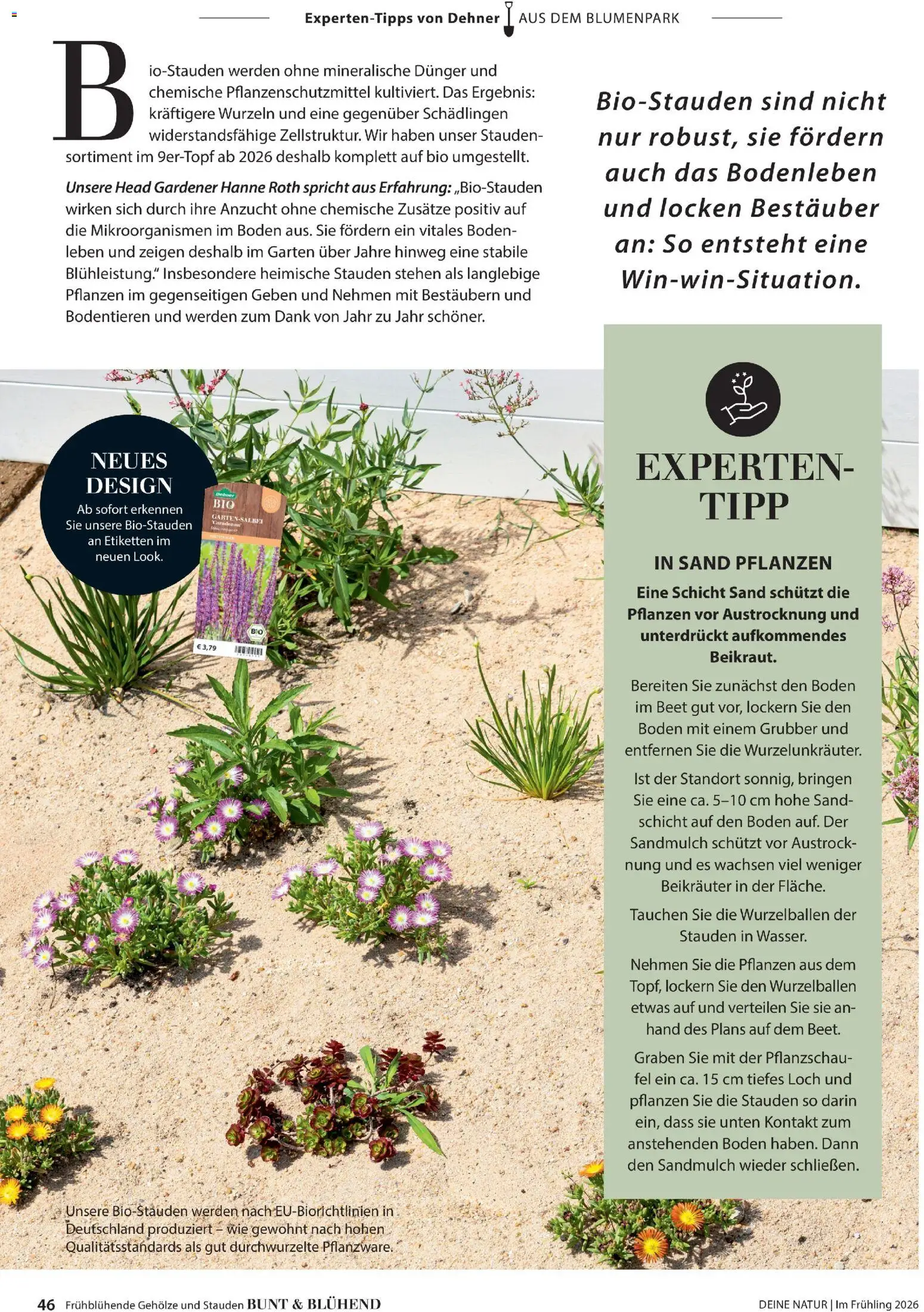 Dehner Flugblatt gültig ab 05.03.2026 | Seite: 46