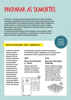 Pré-visualização BricoMarché Sementeiras válido de 17.01.2024 | Página: 2