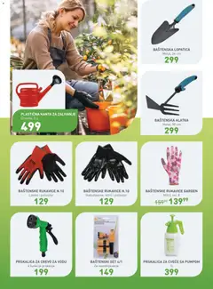 JUMBO katalog - pregled JUMBO kataloga - važi od 13.03.2026 | Strana: 11 | Proizvode: Rukavice, Cvece