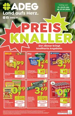 ADEG Flugblatt ab 02.01.2025 gültig