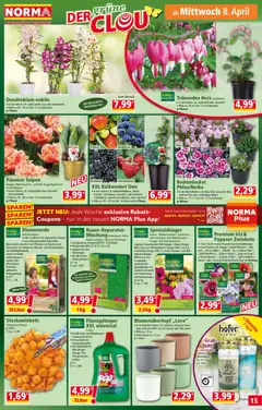 Norma Flugblatt ab 07.04.2026 gültig | Seite: 15