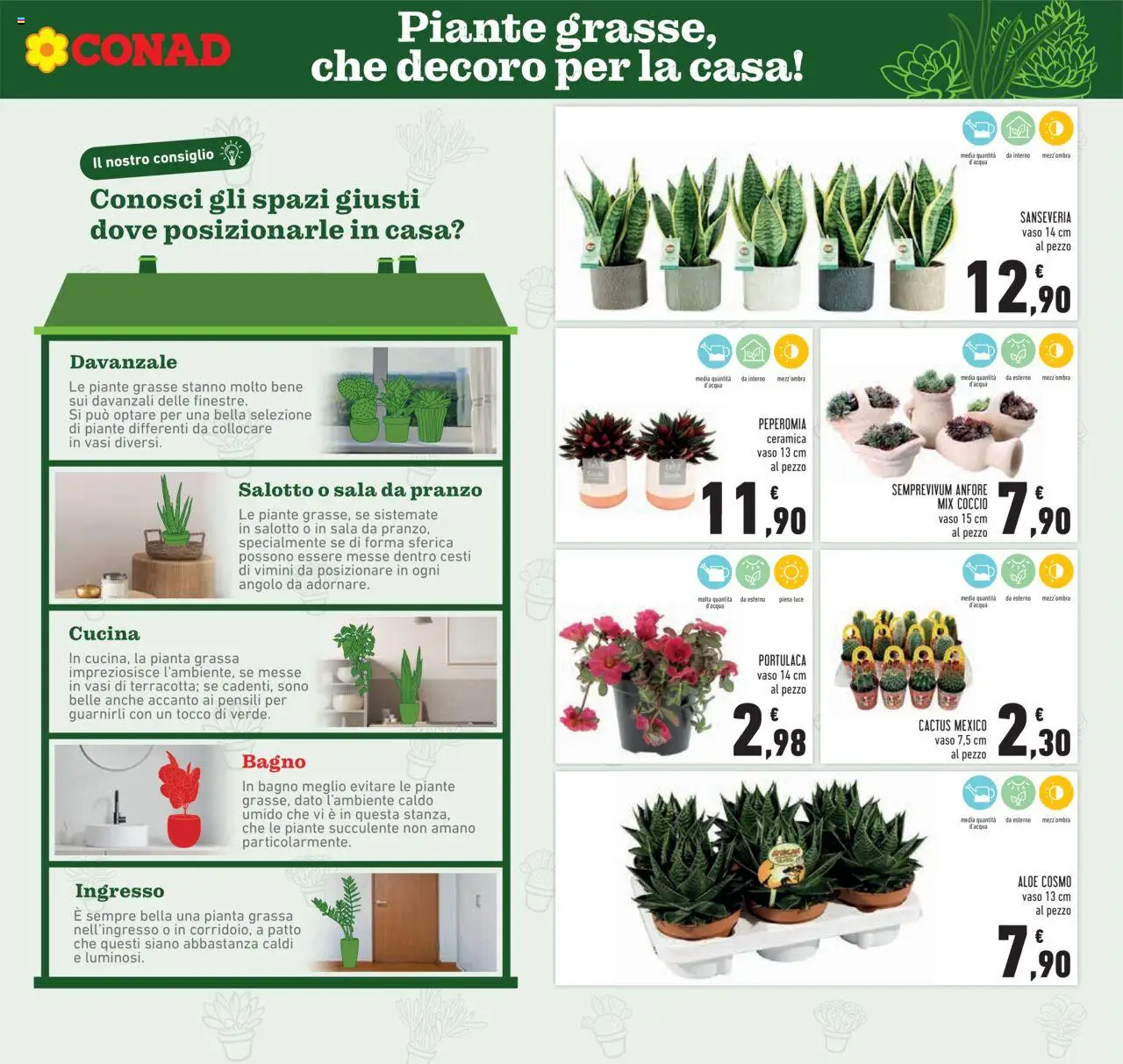 Volantino Conad del 05.06.2025 | Pagina: 9 | Prodotti: Cactus, Bagno, Vaso