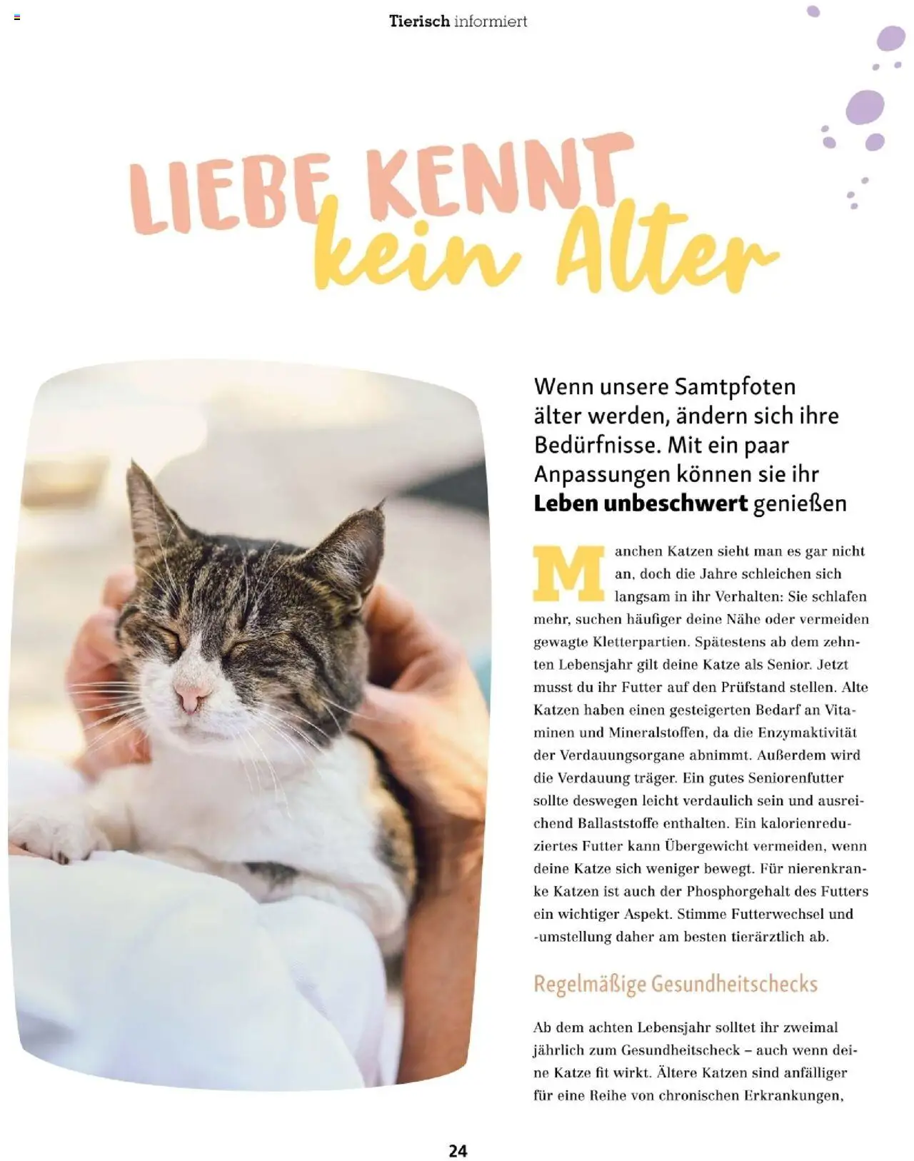 Fressnapf Friends 04/25 gültig ab 01.07.2025 | Seite: 24