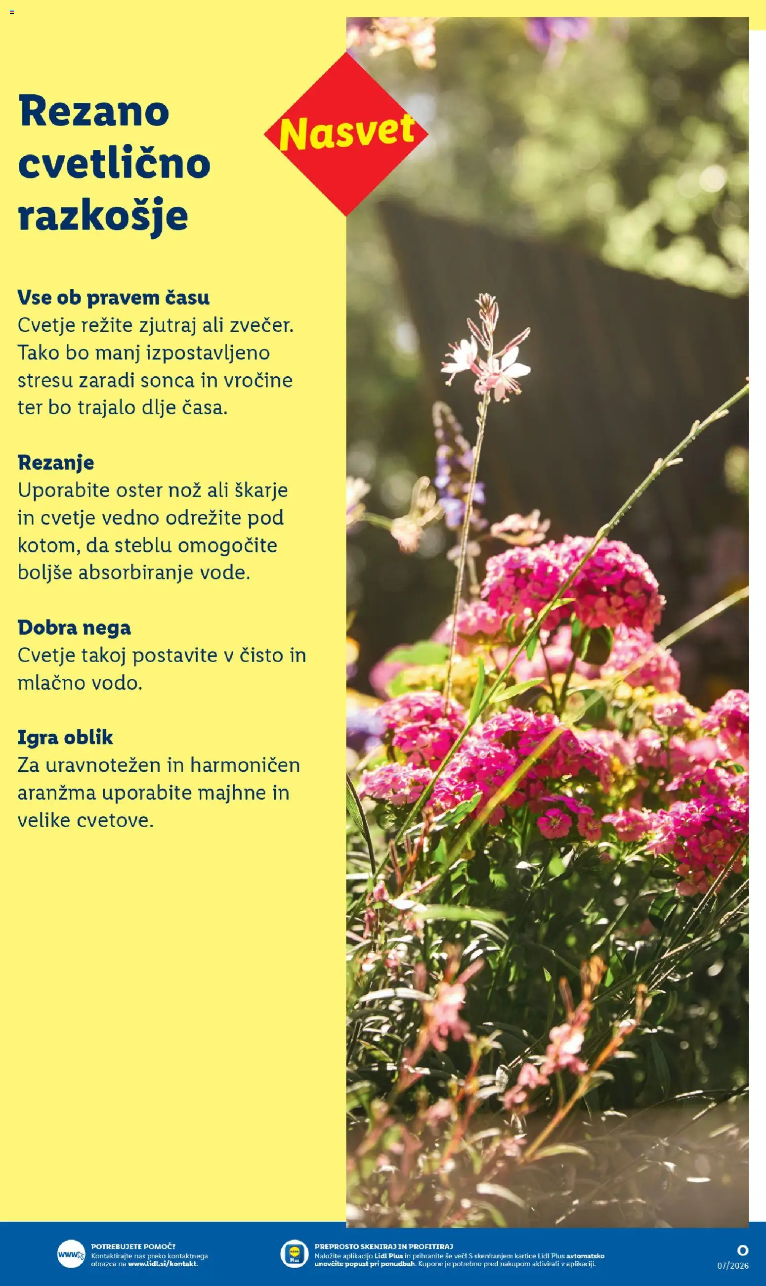 Novi Lidl katalog ponudbe – veljaven od 16.02.2026 | Stran: 11 | Izdelki: Igra, Nož, Cvetje