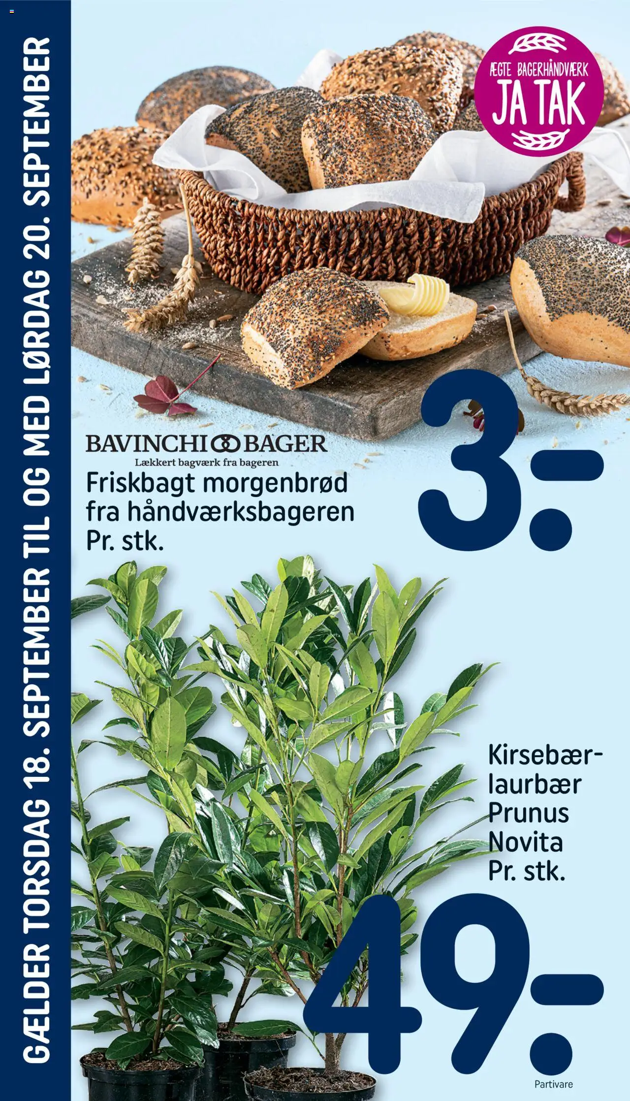Rema 1000 tilbudsavis – gyldig fra 14.09.2025 | Side: 26 | Produkter: Morgenbrød, Kirsebær