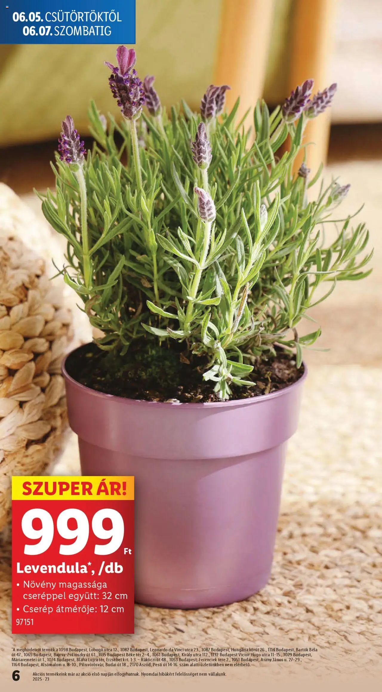 Lidl akciós ujság - amely érvényes a következő dátumtól: 05.06.2025 | Oldal: 6 | Termékek: Levendula