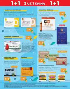 Gintarinė leidinys galioja nuo 01.03.2026 | Puslapis: 16