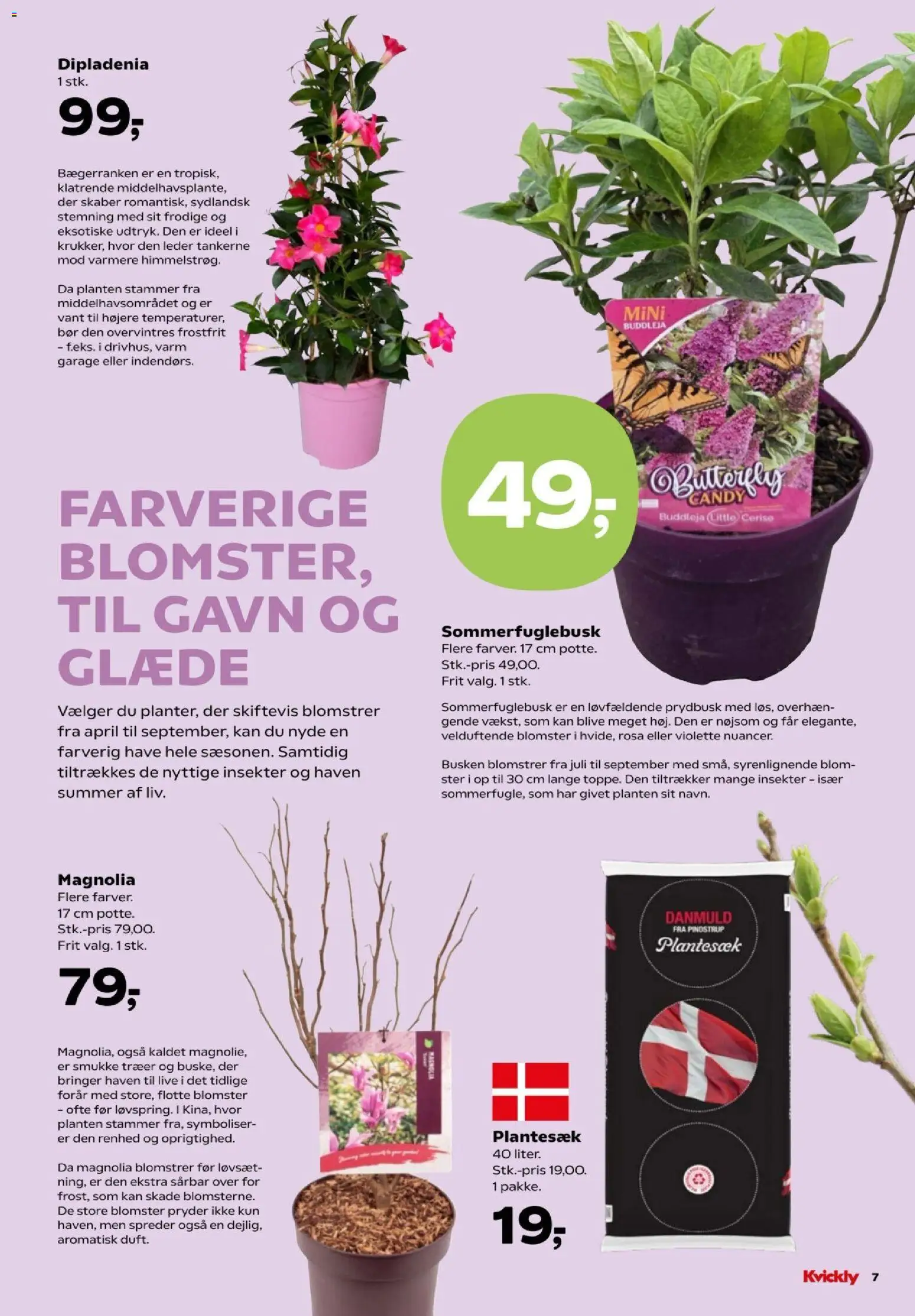 Kvickly tilbudsavis – gyldig fra 17.04.2026 | Side: 49 | Produkter: Søm, Butterfly