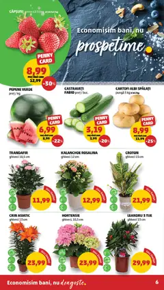 Ofertele PENNY valabile de la 08.04.2026 | Pagină: 6