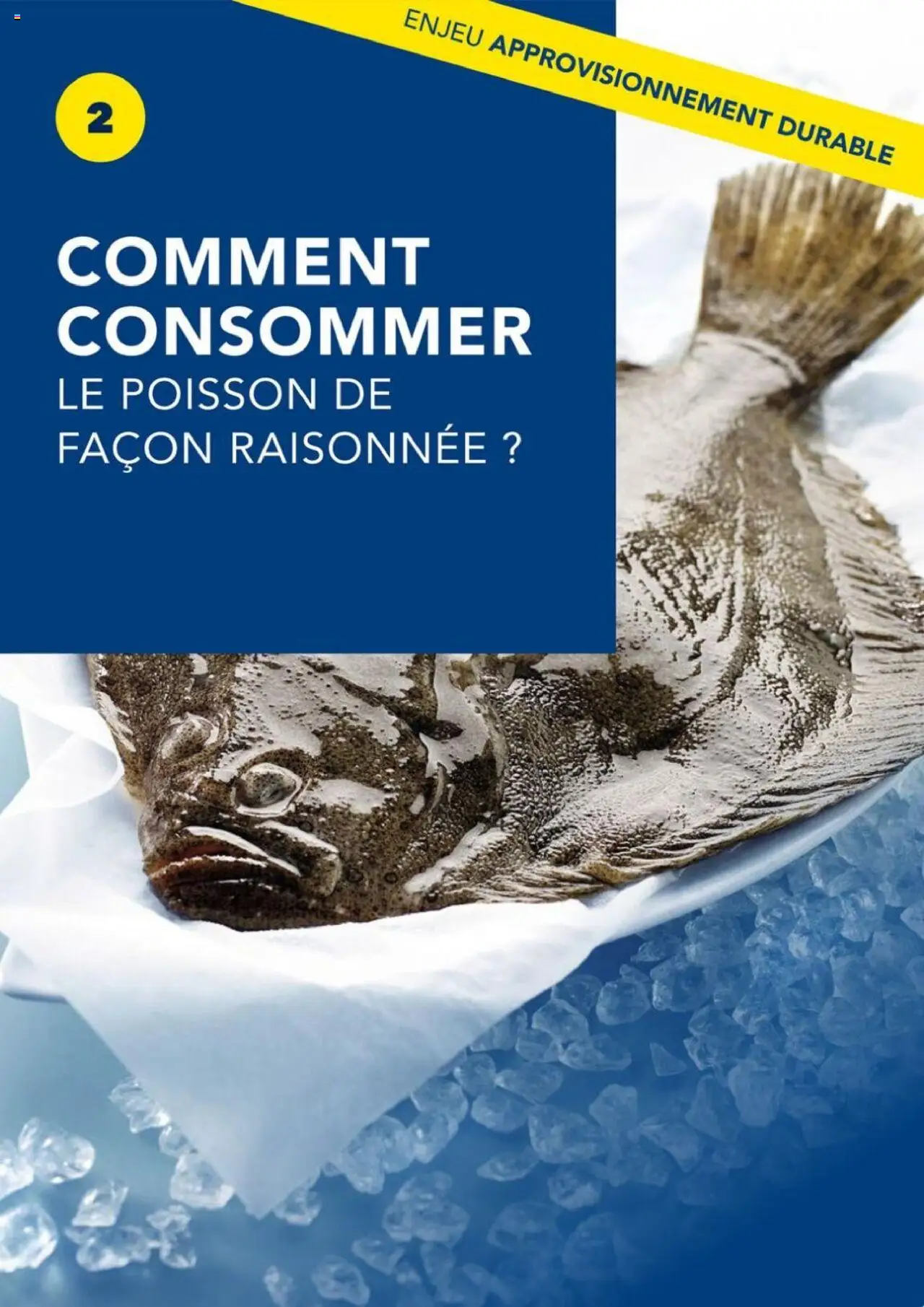 {H1} | Page: 13 | Produits: Poisson