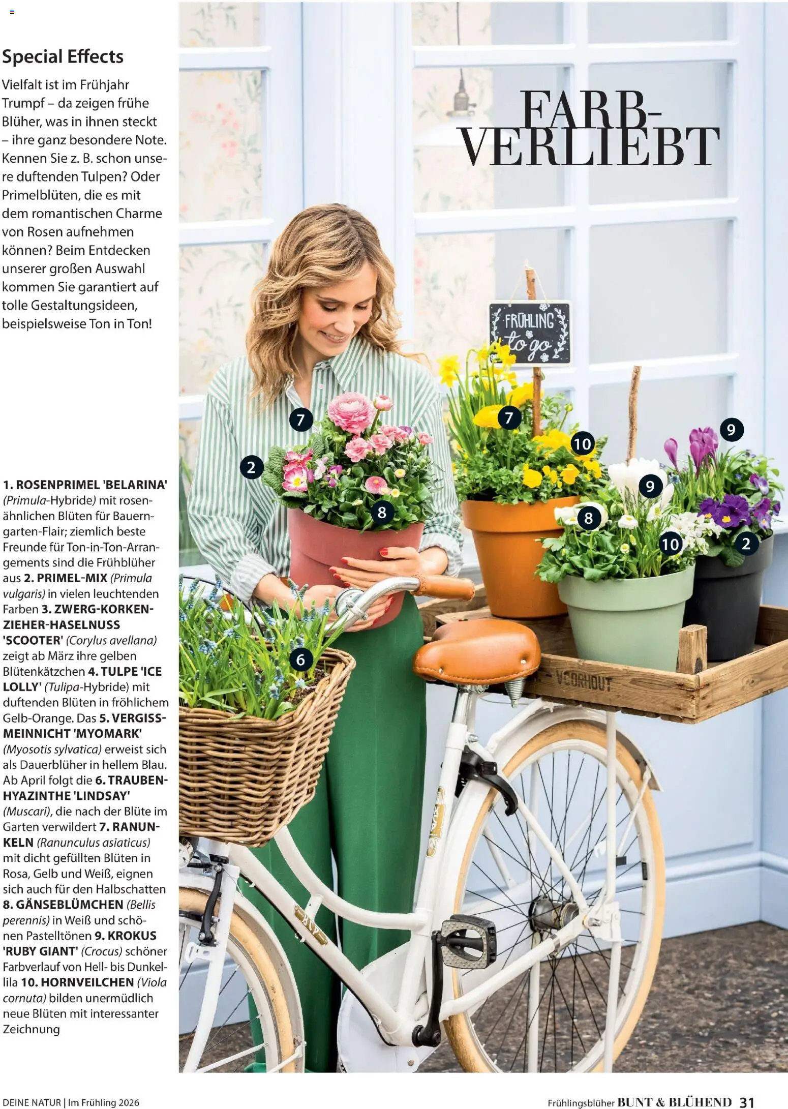 Dehner Flugblatt gültig ab 05.03.2026 | Seite: 31