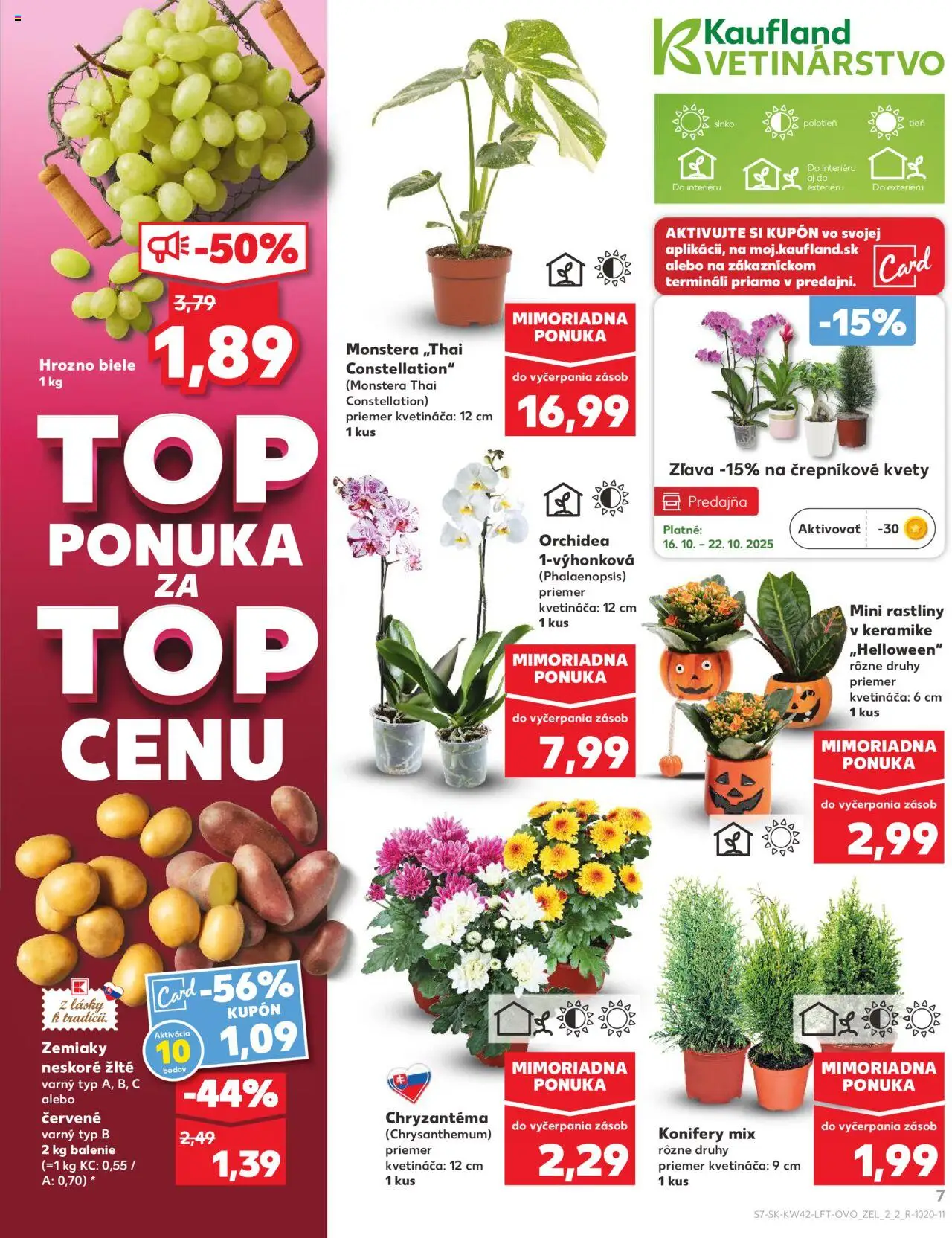Nové Kaufland akcie – leták je platný od 16.10.2025 | Strana: 7 | Produkty: Zemiaky, Kvety, Orchidea, Hrozno