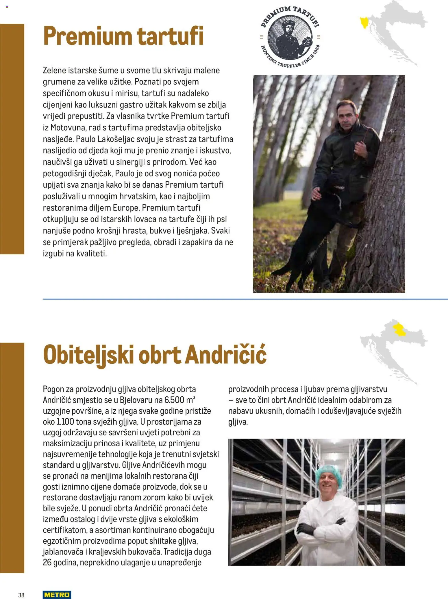 Metro katalog | vrijedi od 10.02.2026 | Stranica: 38