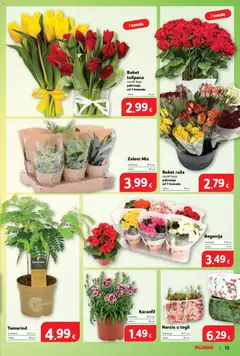 Katalog Plodine - Pregled kataloga iz trgovine Plodine, vrijedi od 21.01.2026 | Stranica: 15