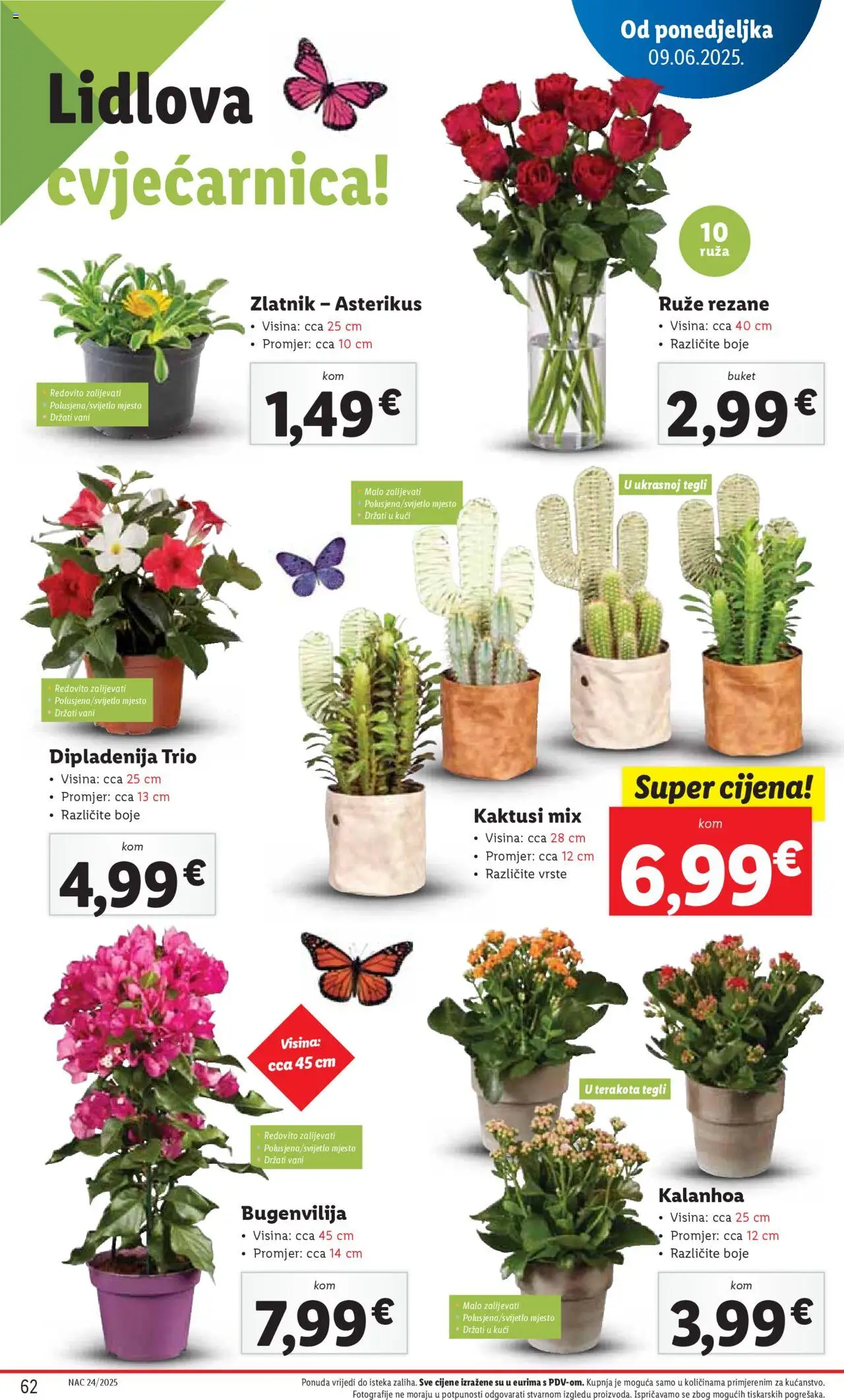 Lidl katalog | vrijedi od 09.06.2025 | Stranica: 62