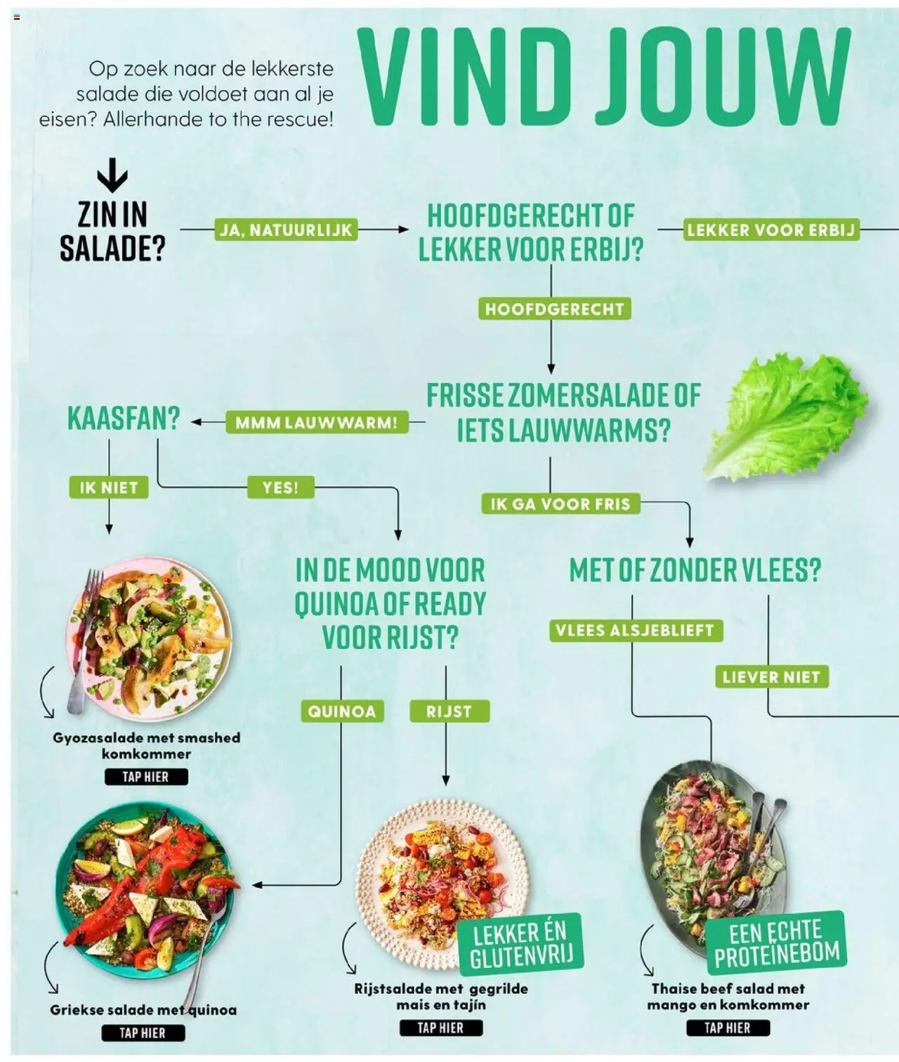  | Pagina: 32 | Producten: Komkommer, Kisperec, Rijst, Salade