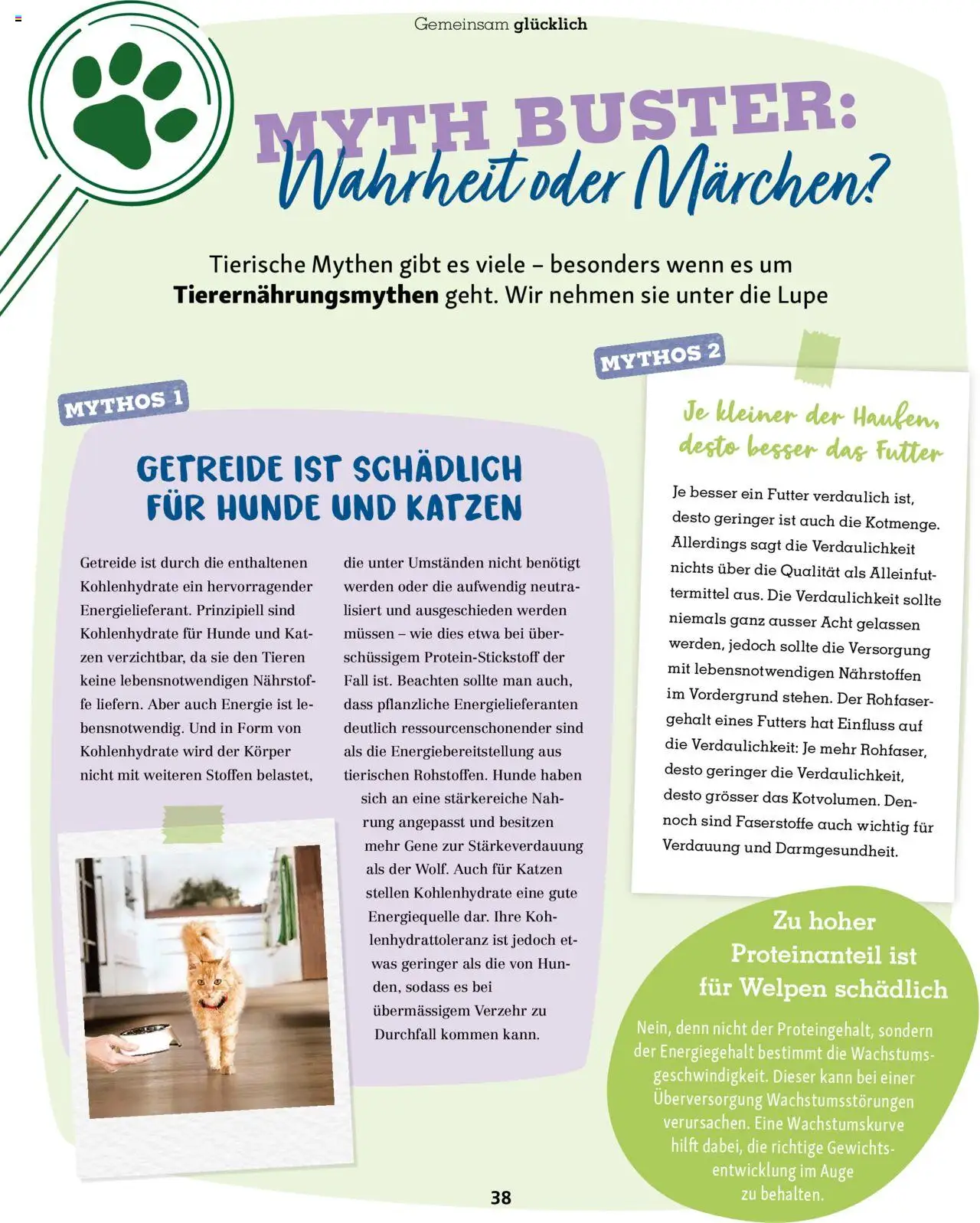 Fressnapf Magazin – gültig ab 01.09.2025 | Seite: 38 | Produkte: Getreide, Fall