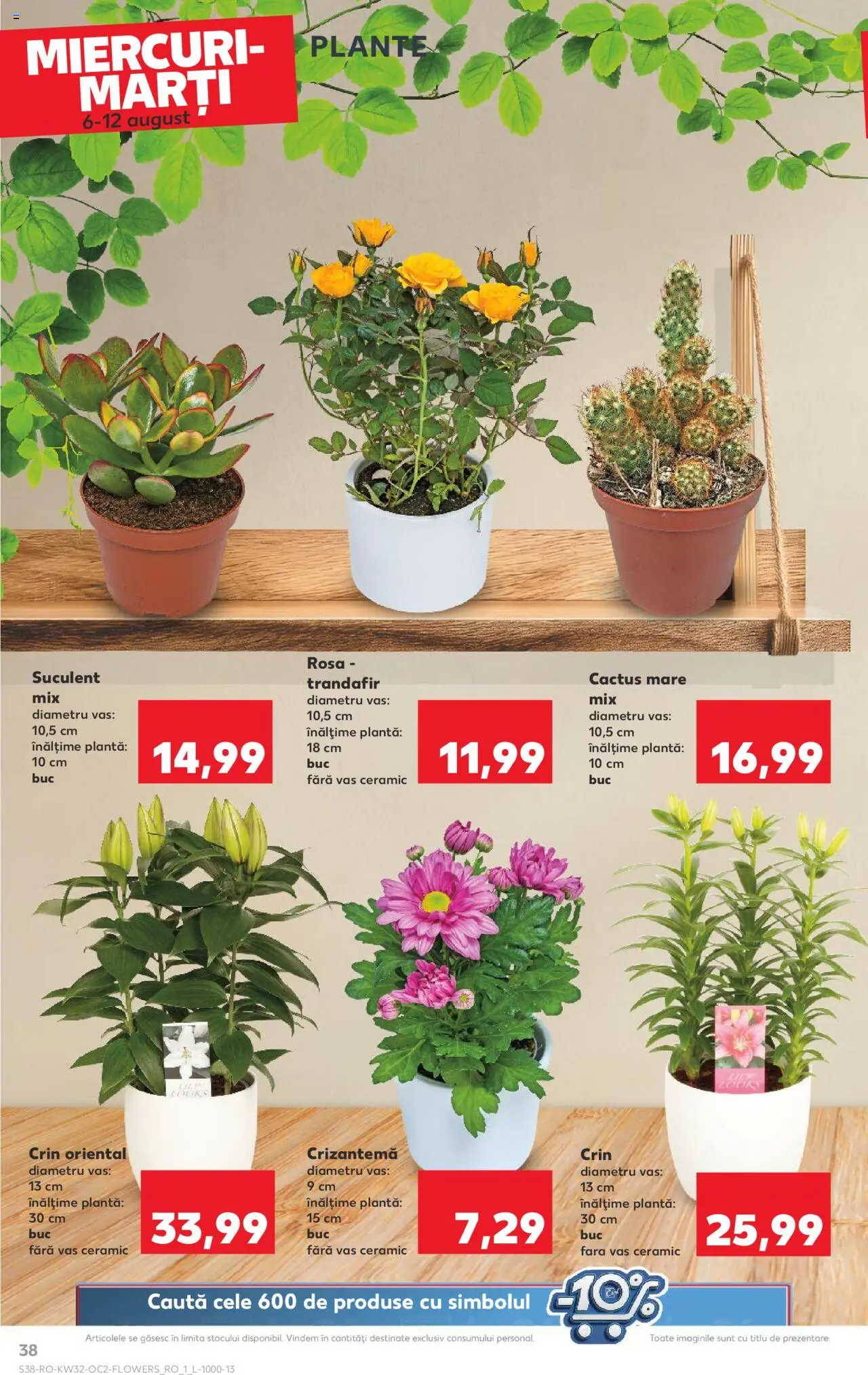 Catalog Kaufland - Tulcea – valabil de la 06.08.2025 | Pagină: 38 | Produse: Trandafir