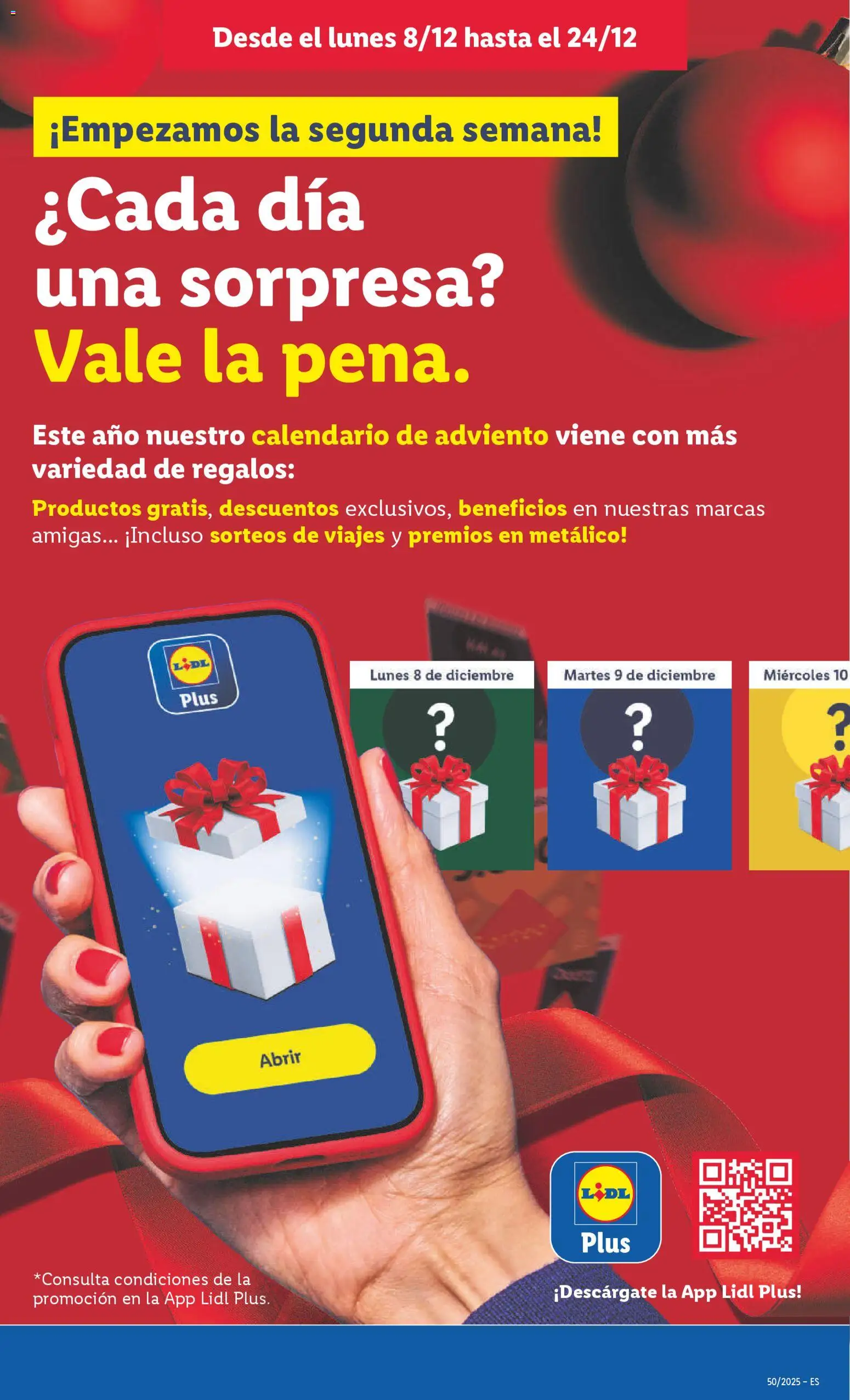 Lidl folleto │ válido desde el 08.12.2025 | Página: 37