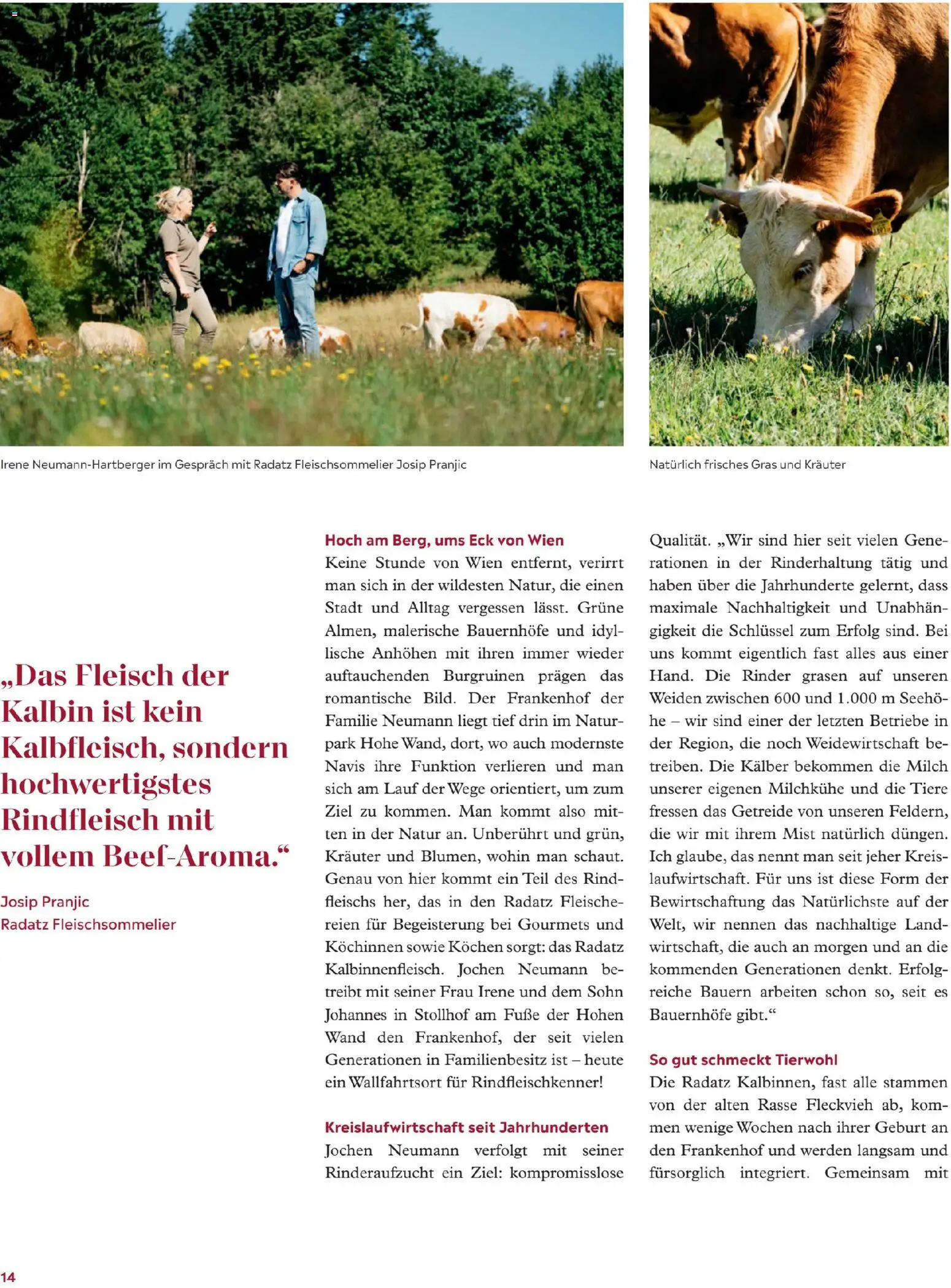 Radatz Schmeckt gültig ab 01.11.2025 | Seite: 14 | Produkte: Getreide, Milch, Rindfleisch