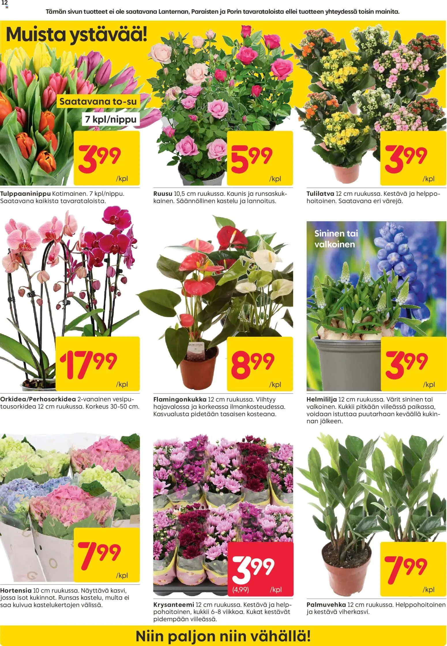 Rusta tarjoukset – voimassa 09.02.2026 alkaen | Sivu: 12