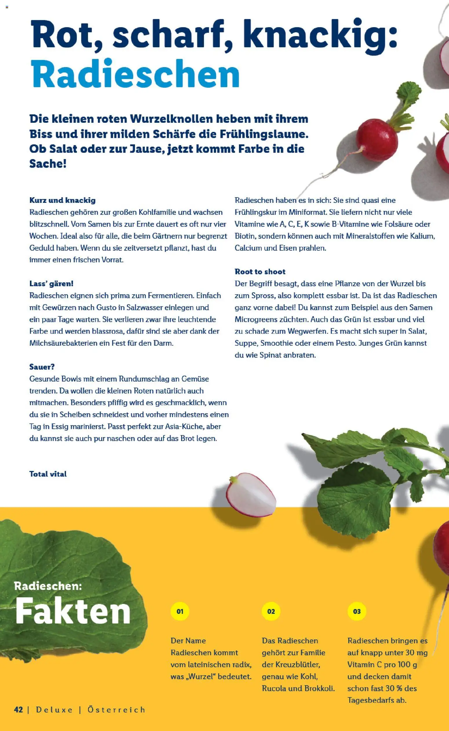Lidl Gemeinsam genießen lohnt sich gültig ab 01.03.2026 | Seite: 42