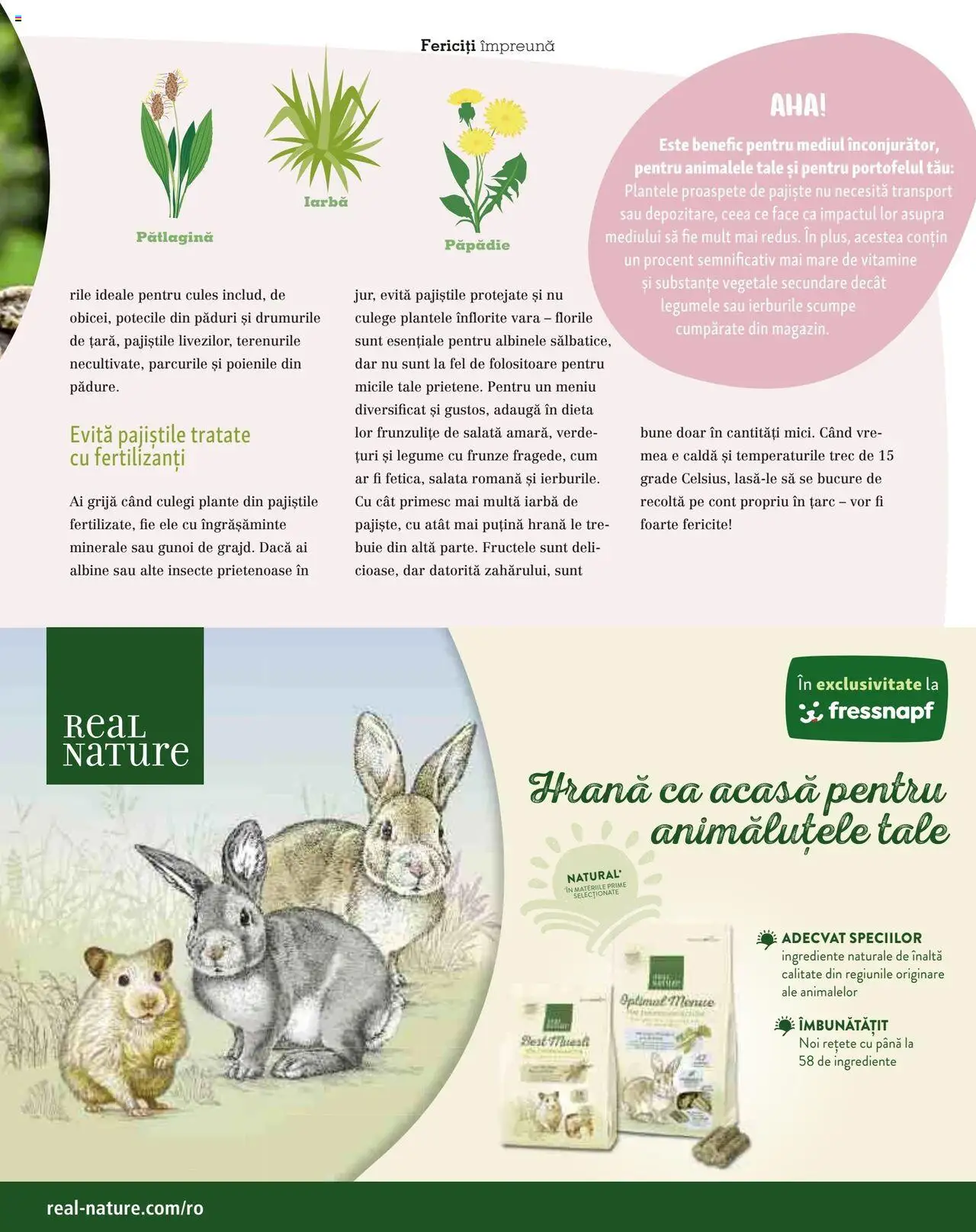 Catalog Fressnapf - Vară – valabil de la 05.05.2025 | Pagină: 49 | Produse: Salată, Legume